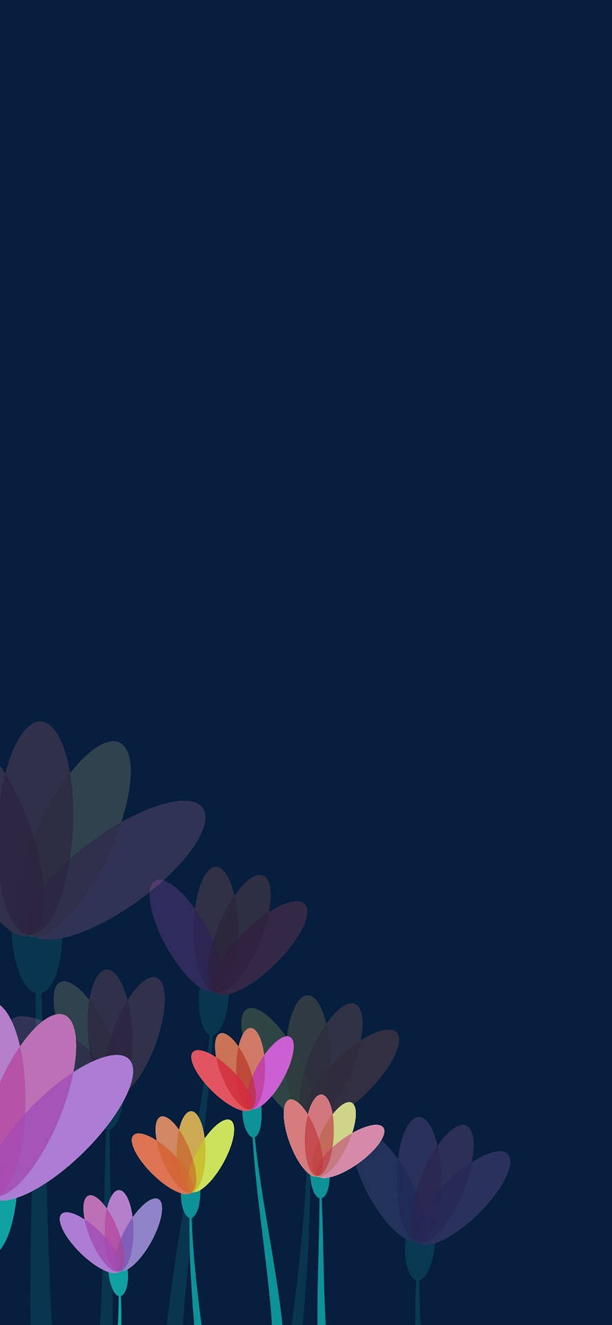 Free Flower Apple HD Wallpaper