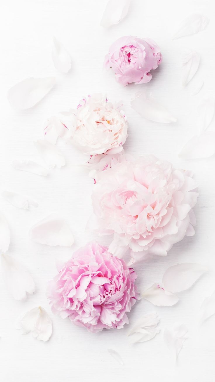 wallpaper. Floral wallpaper iphone