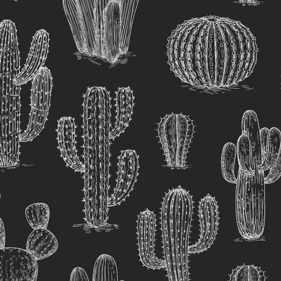 Black Cactus Wallpaper and Stick