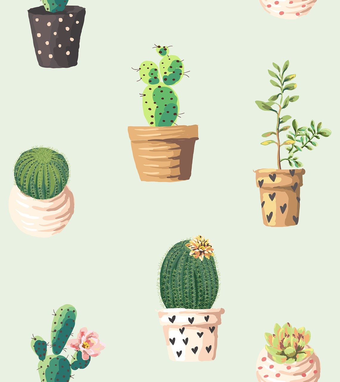 Free Cactus Wallpaper & Cactus Image