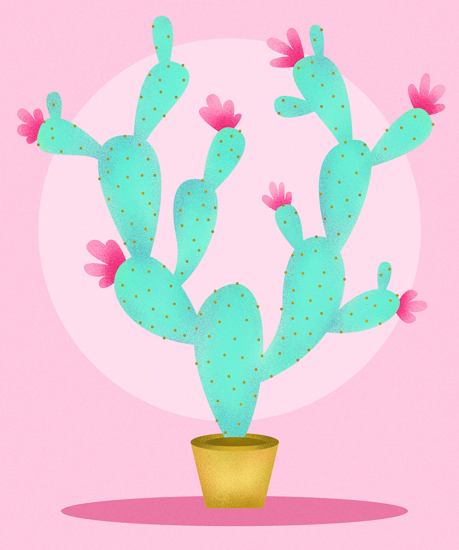 Download Cactus Wallpaper for FREE