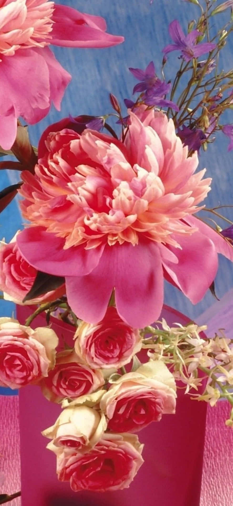 Colorful Flower iPhone wallpaper