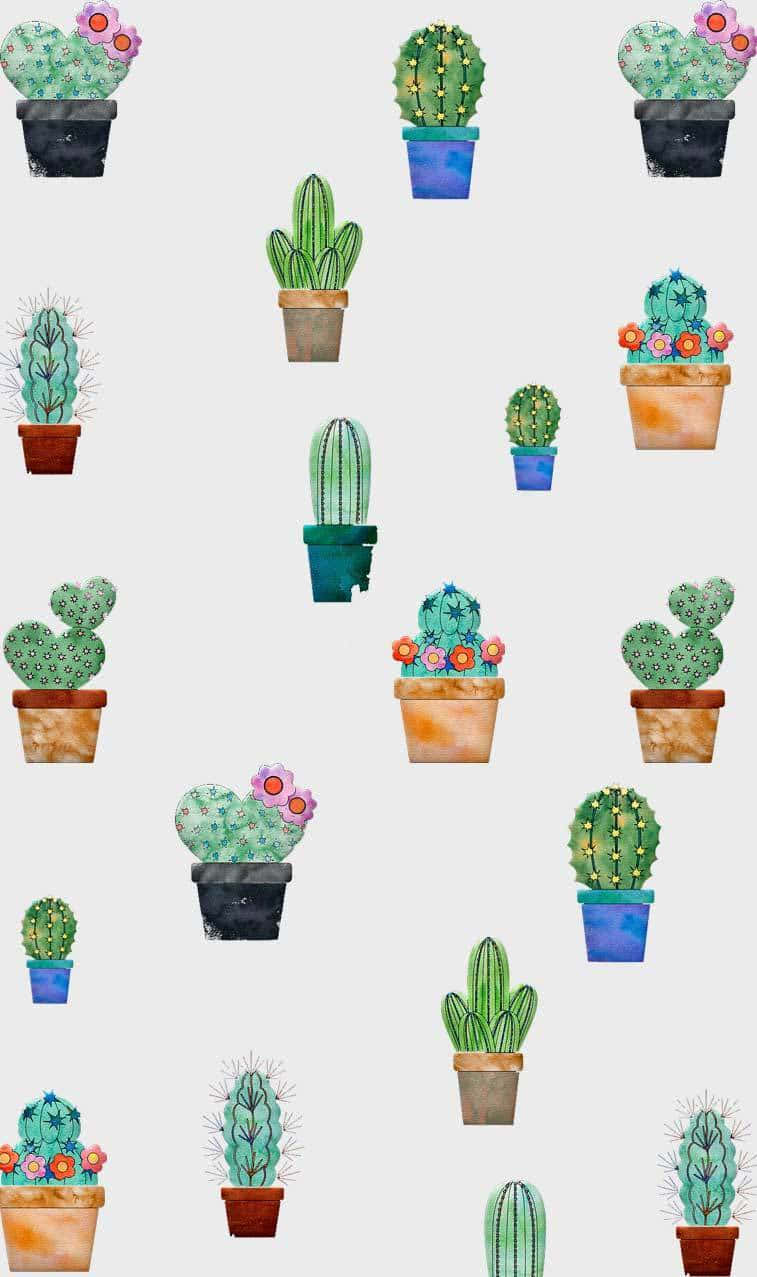Free Cute Cactus HD Wallpaper