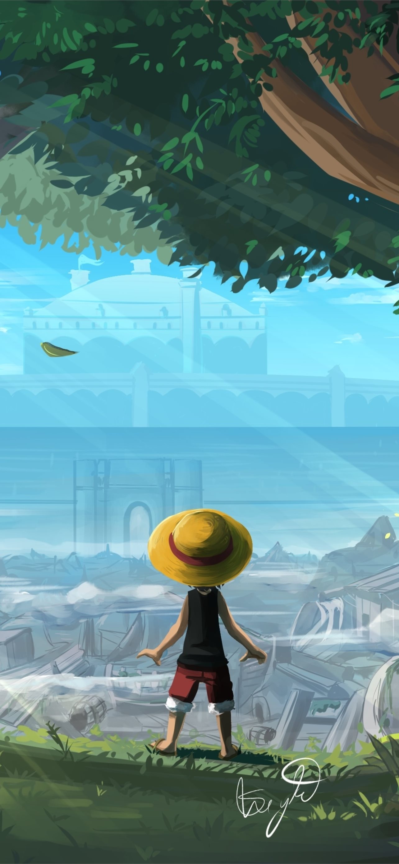 Monkey D Luffy One Piece Art Samsung
