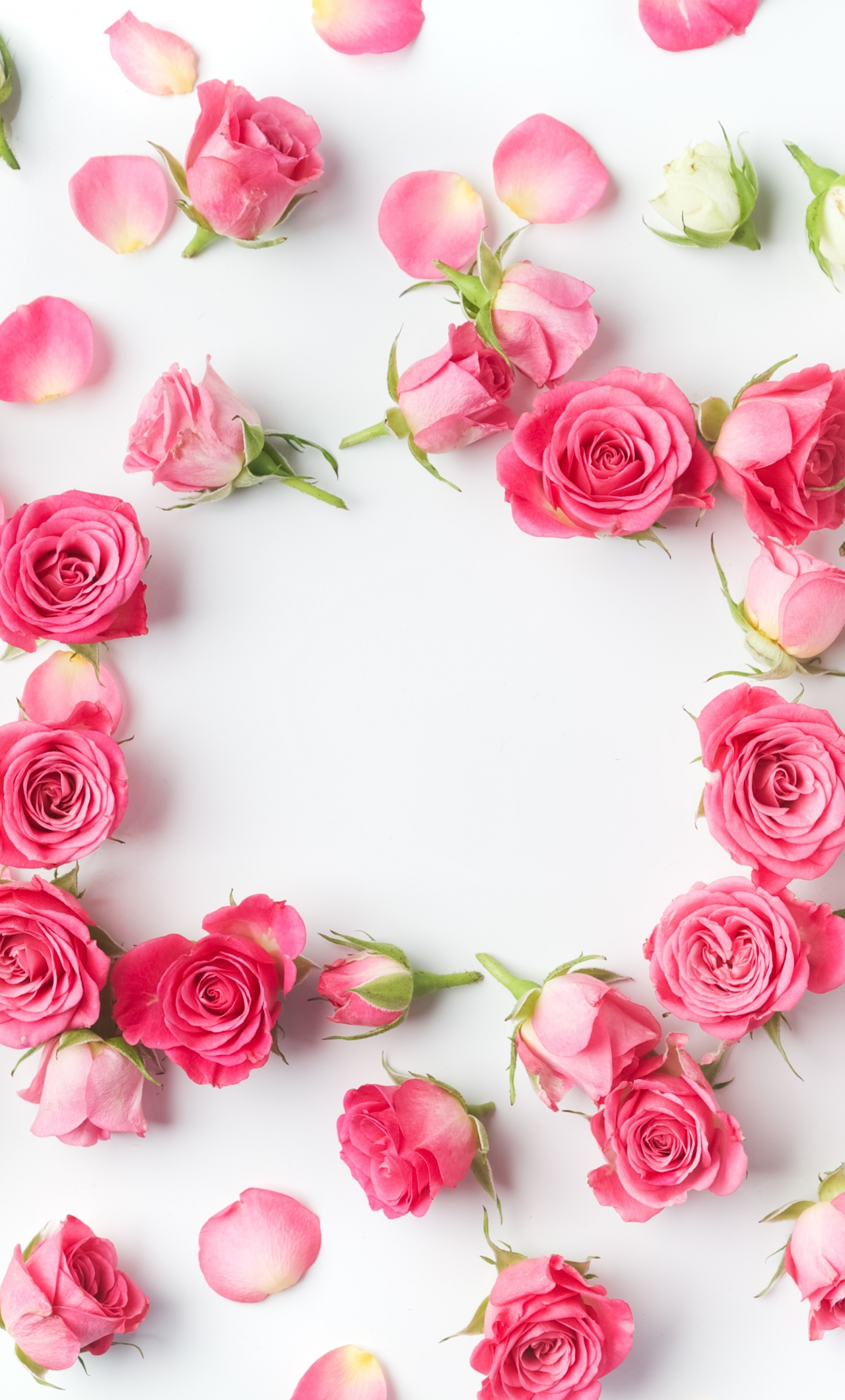 Download wallpaper 1280x2120 flowers