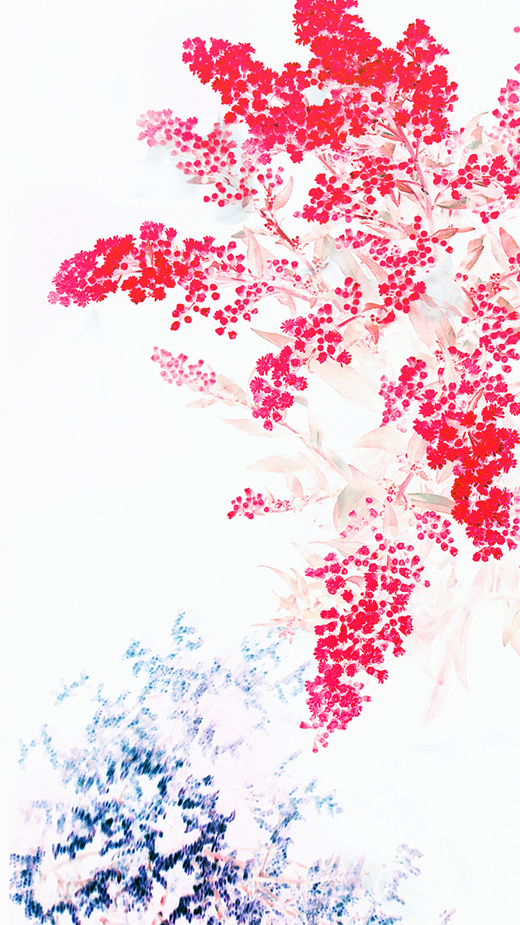 Apple Red White Flower Ios9 Iphone6s