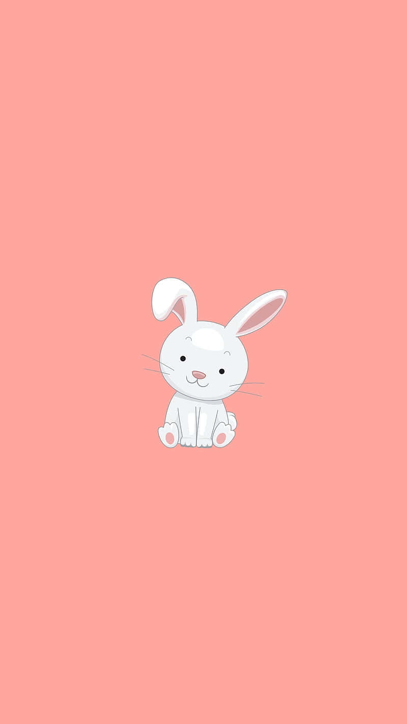 Adorable Cute Bunny iPhone Wallpaper
