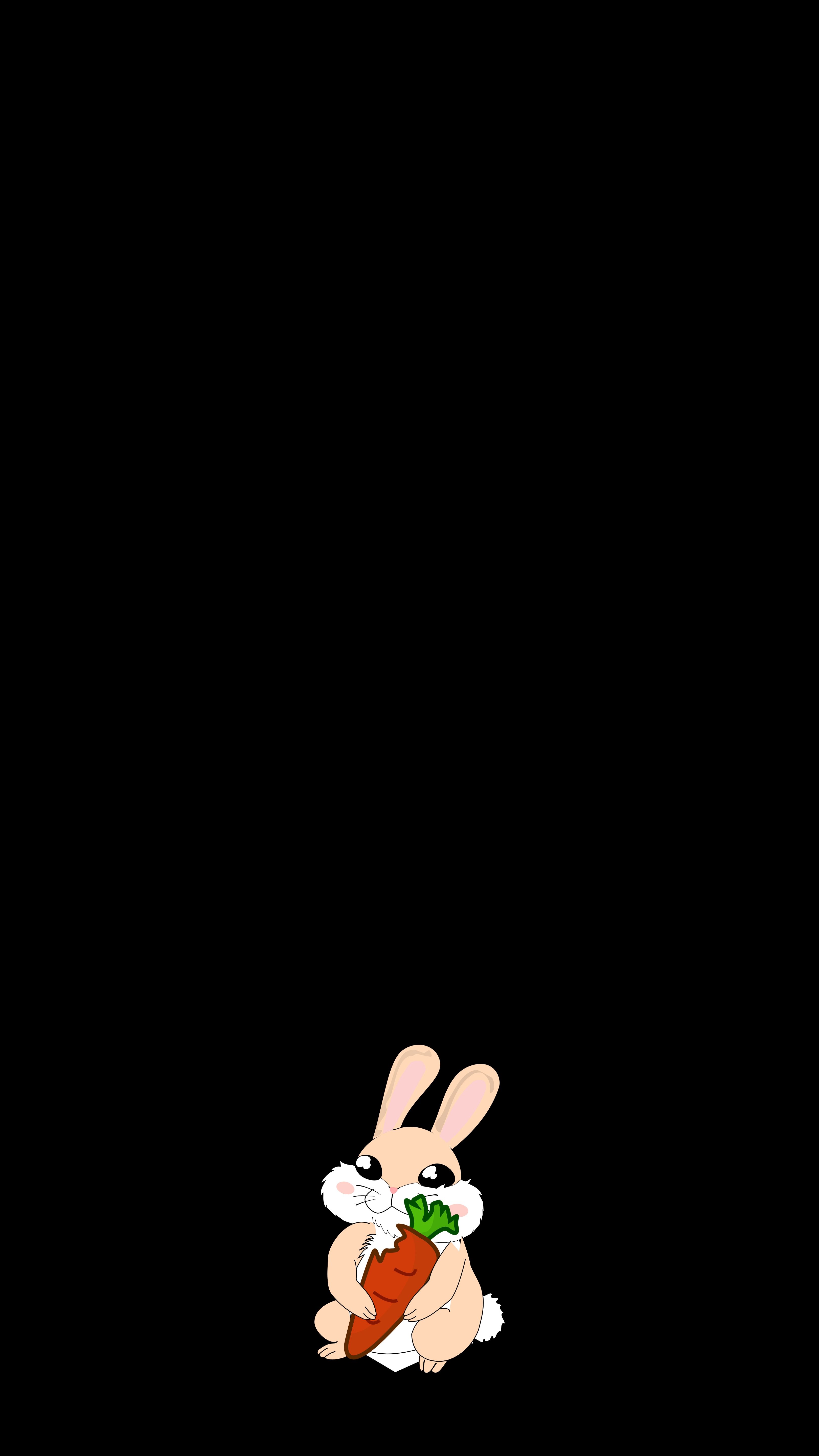 Download Rabbit wallpaper for mobile