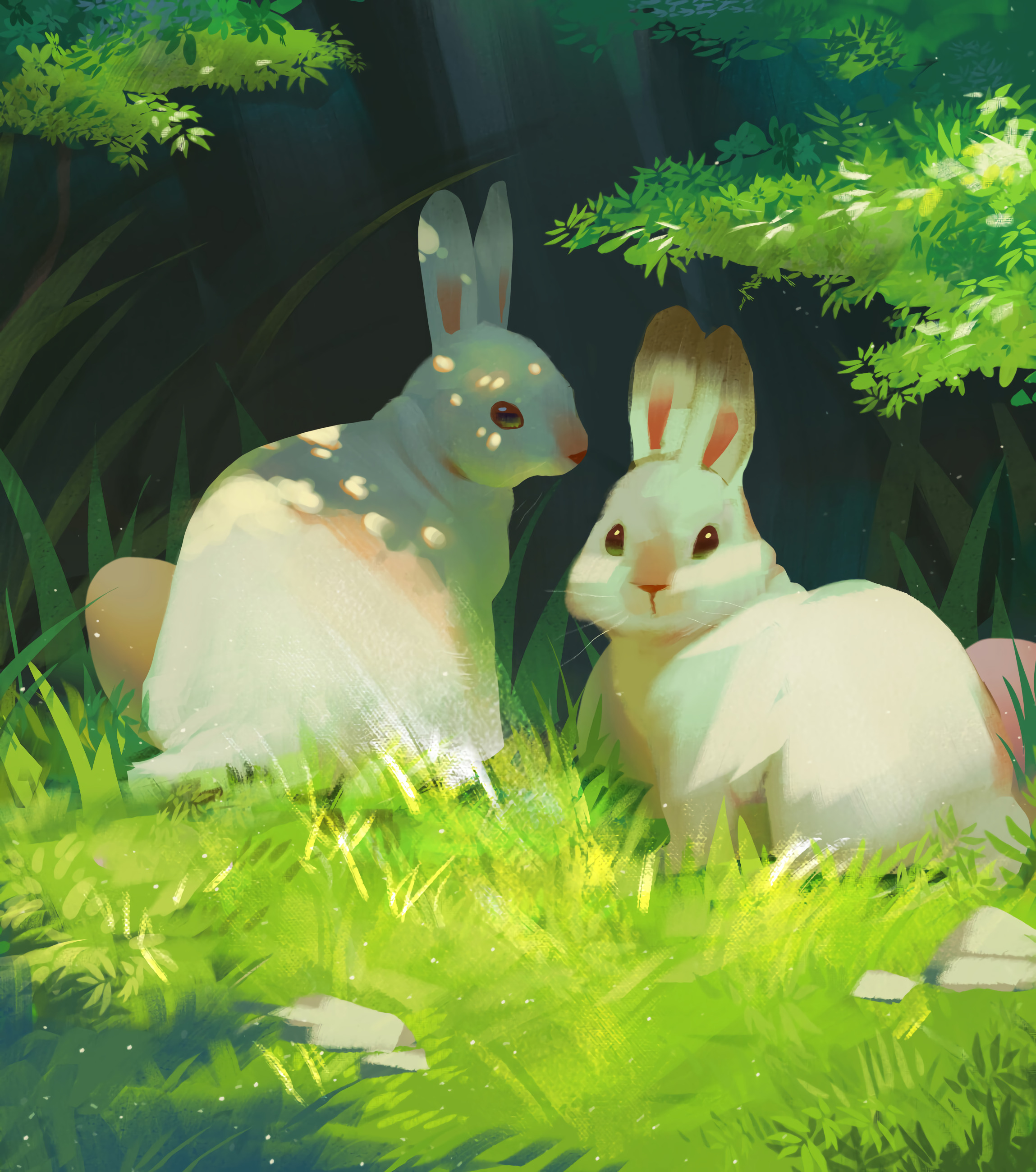 Download Rabbits wallpaper
