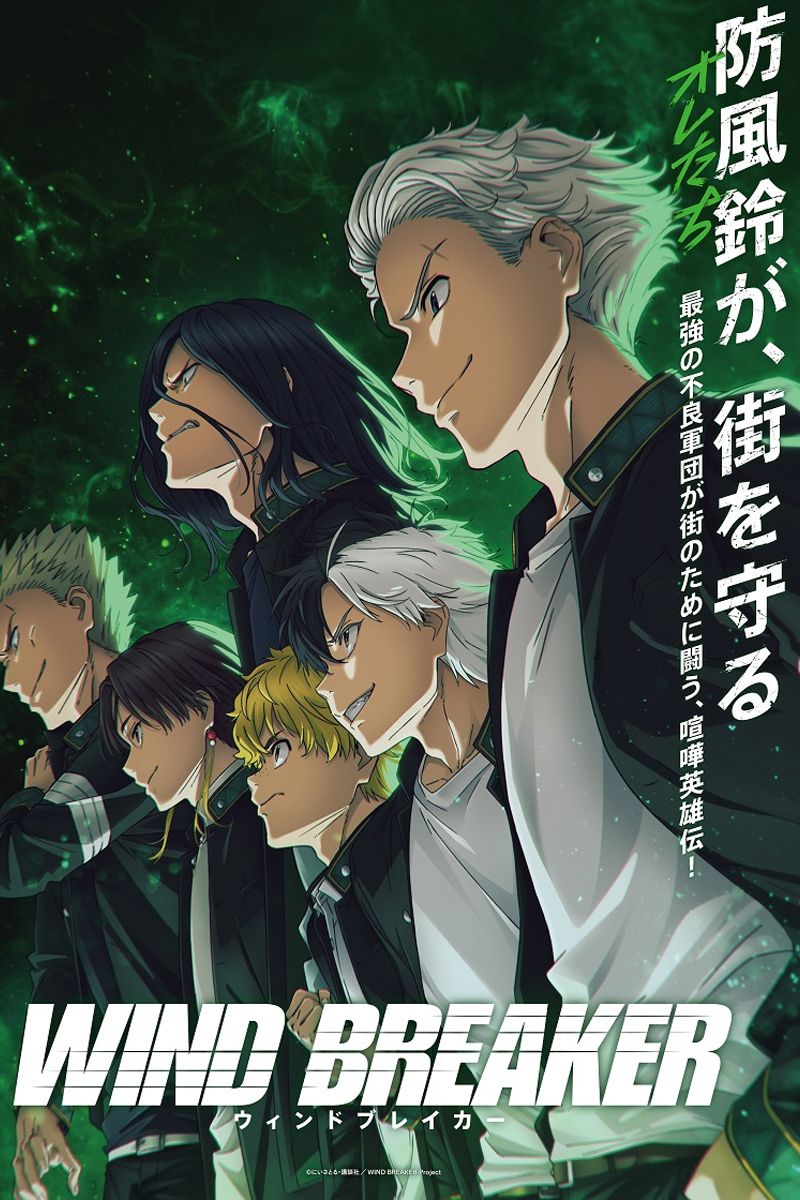 Best Anime Like Wind Breaker