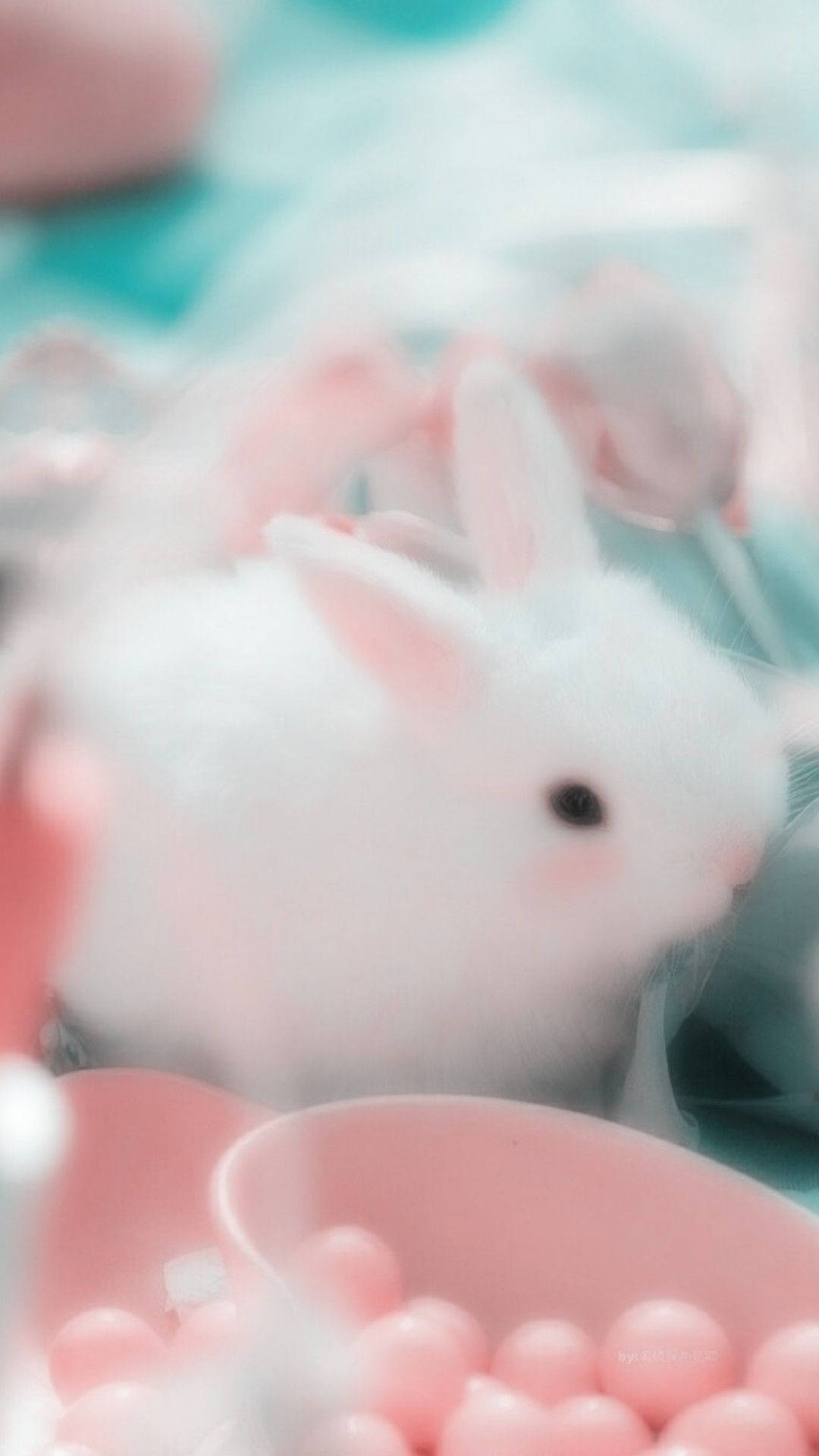 Pink Aeshetic Wallpaper
