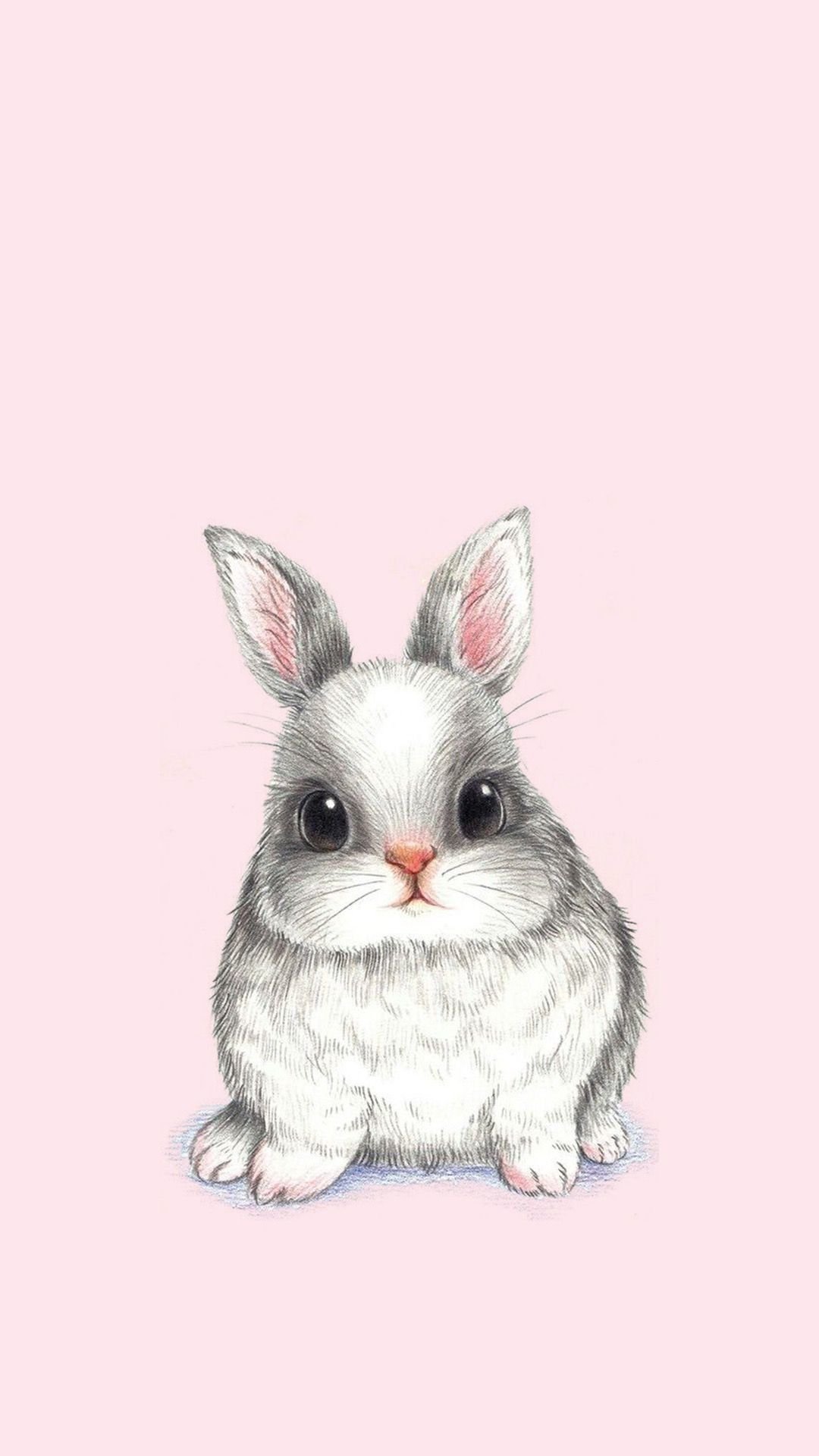 Cute little bunny on pastel pink