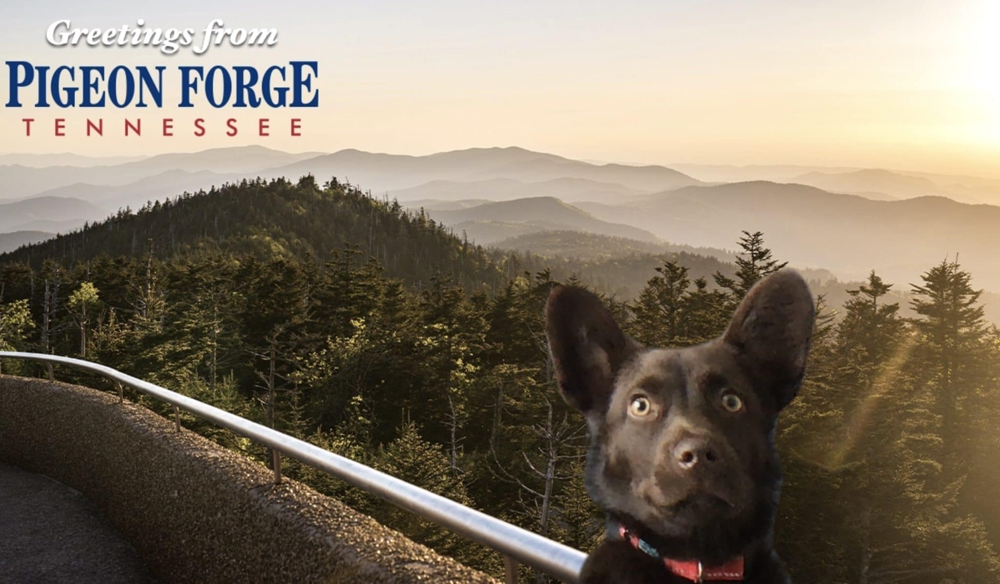 Pigeon Forge Zoom Background