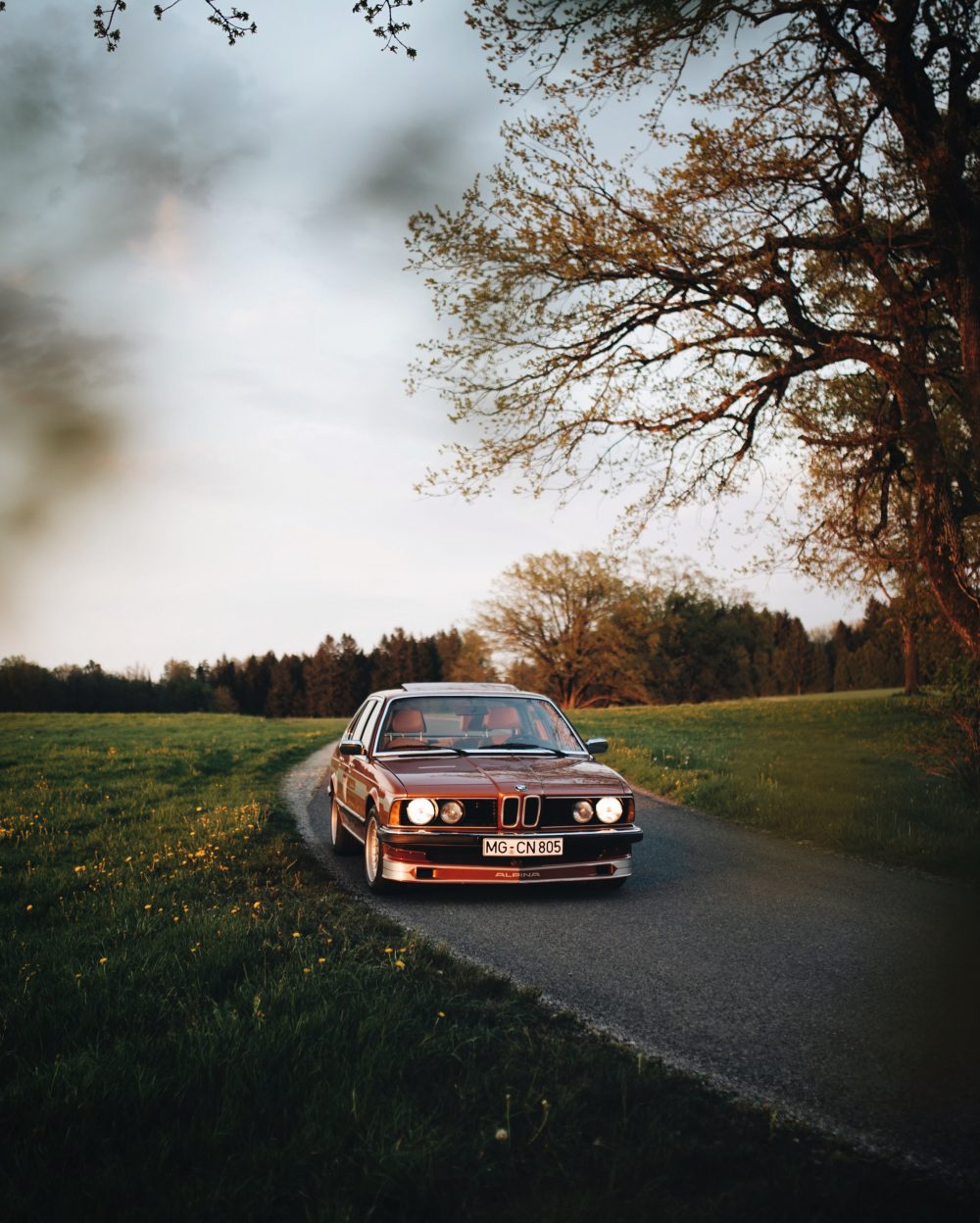 Topasbraun In A Rare BMW ALPINA B8 E23
