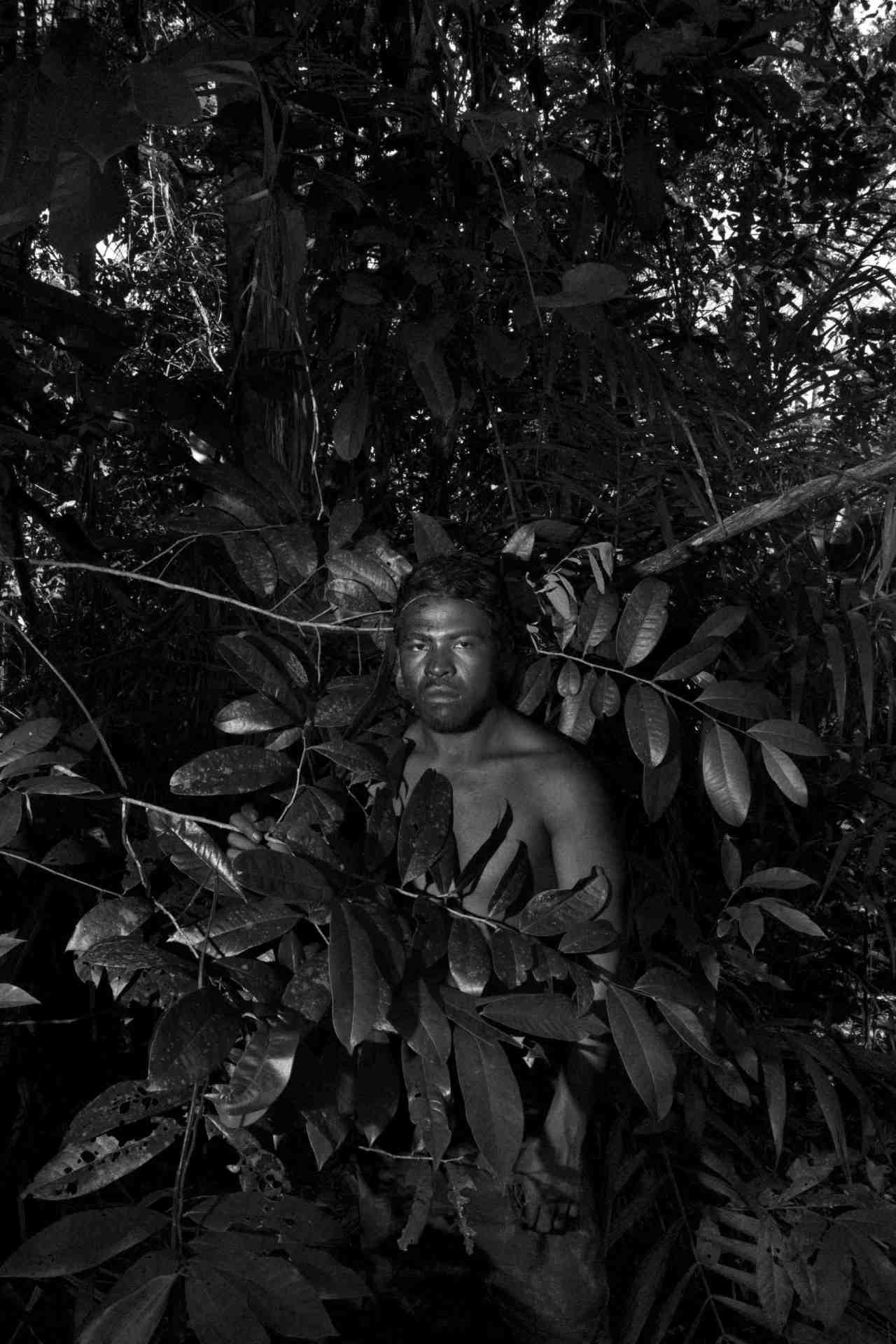 The Destruction of the Amazon in Photo