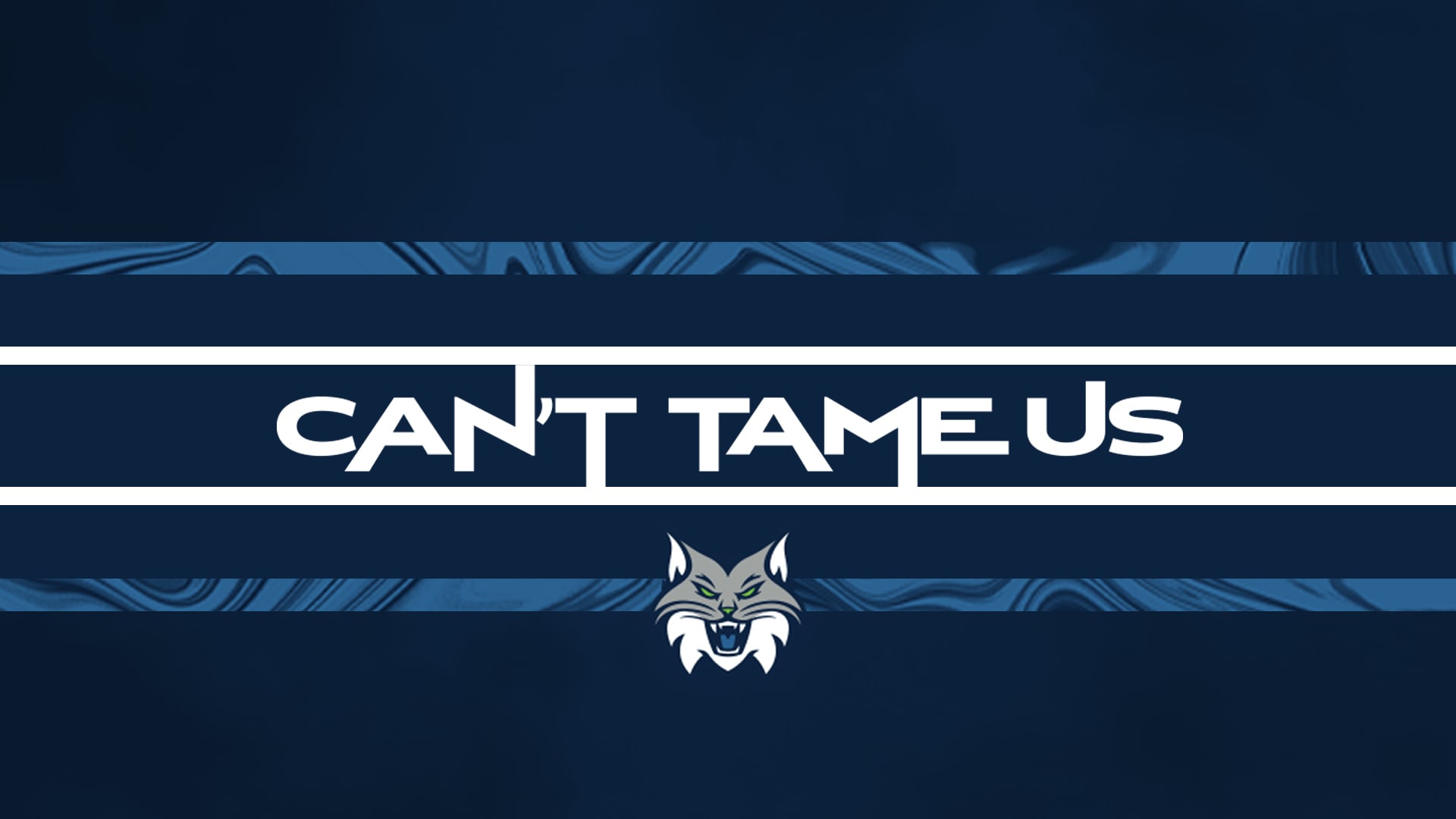 Minnesota Lynx Wallpapers - Wallpaper Cave