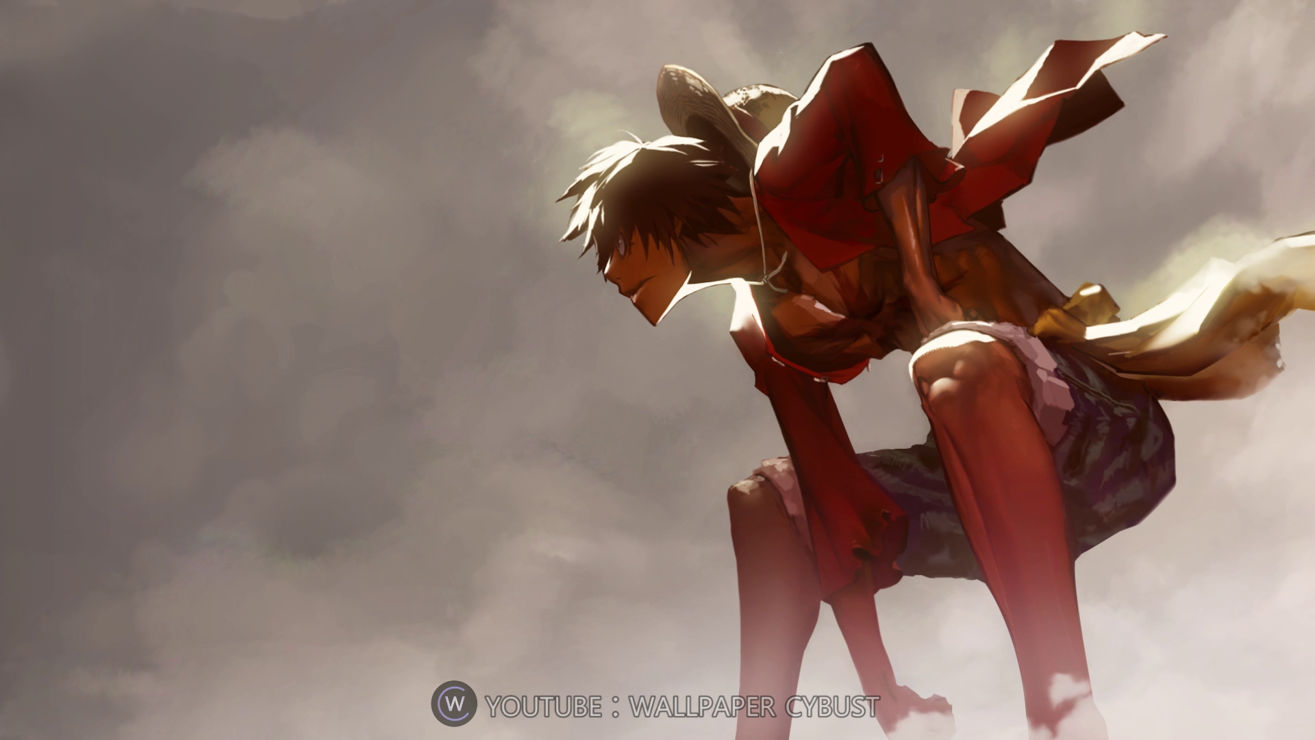 One piece Monkey D Luffy Must Live