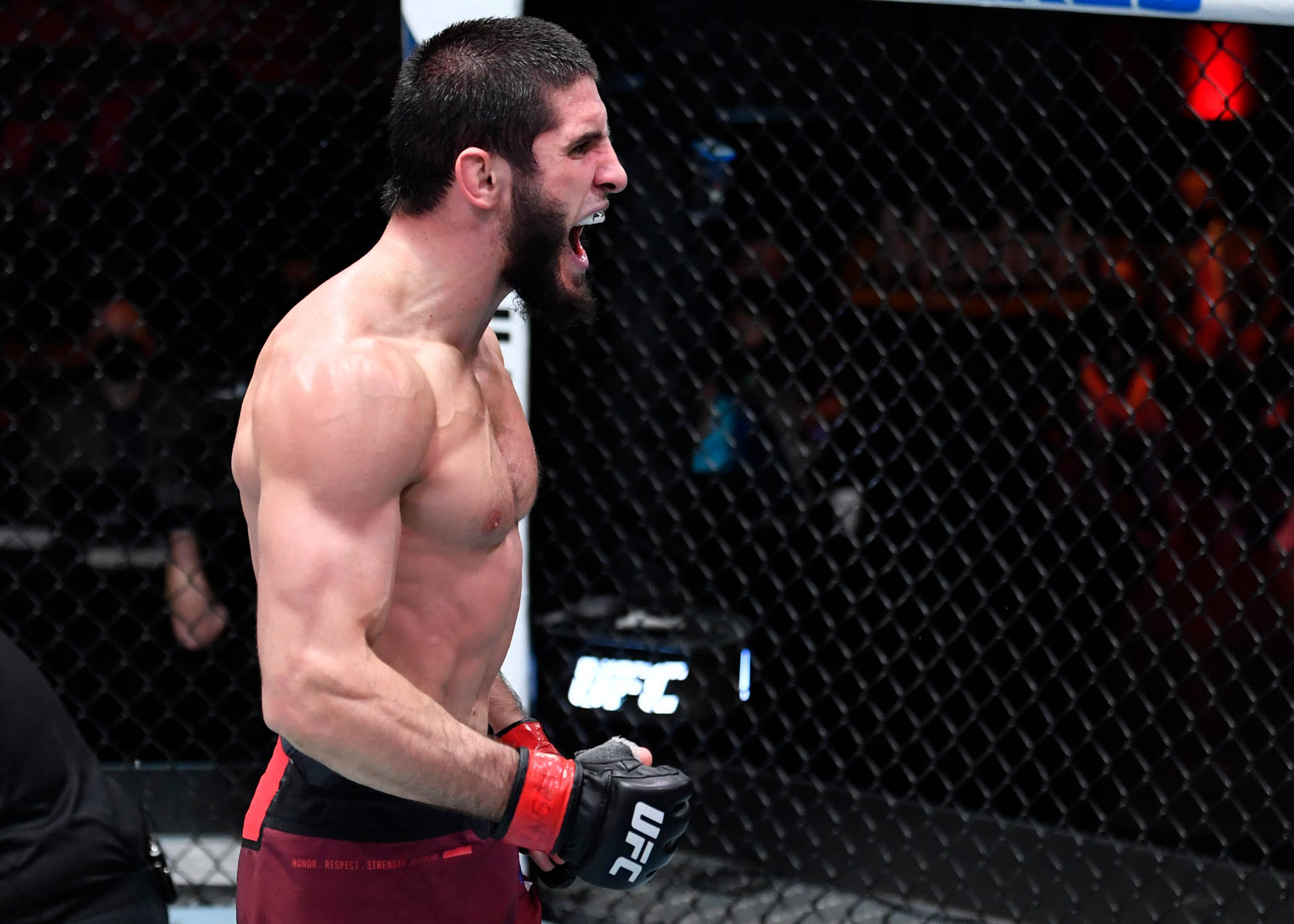 Islam Makhachev Wallpaper