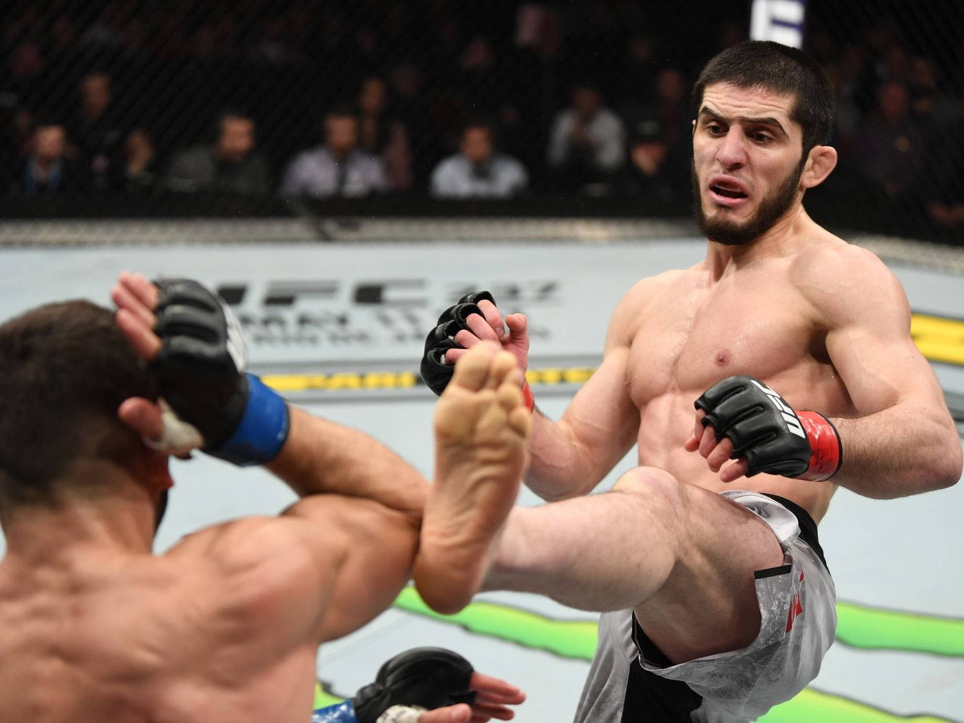 Islam Makhachev Wallpaper