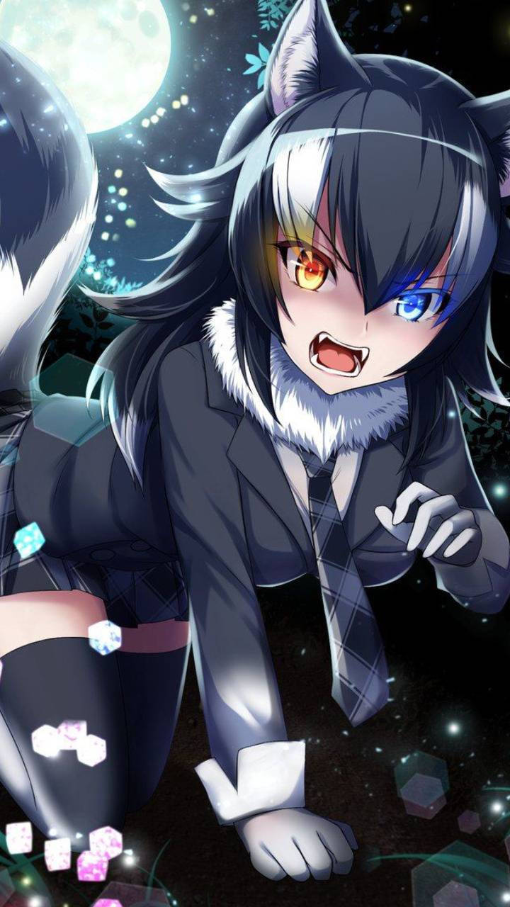 Download free Cute Anime Pfp Wolf Girl