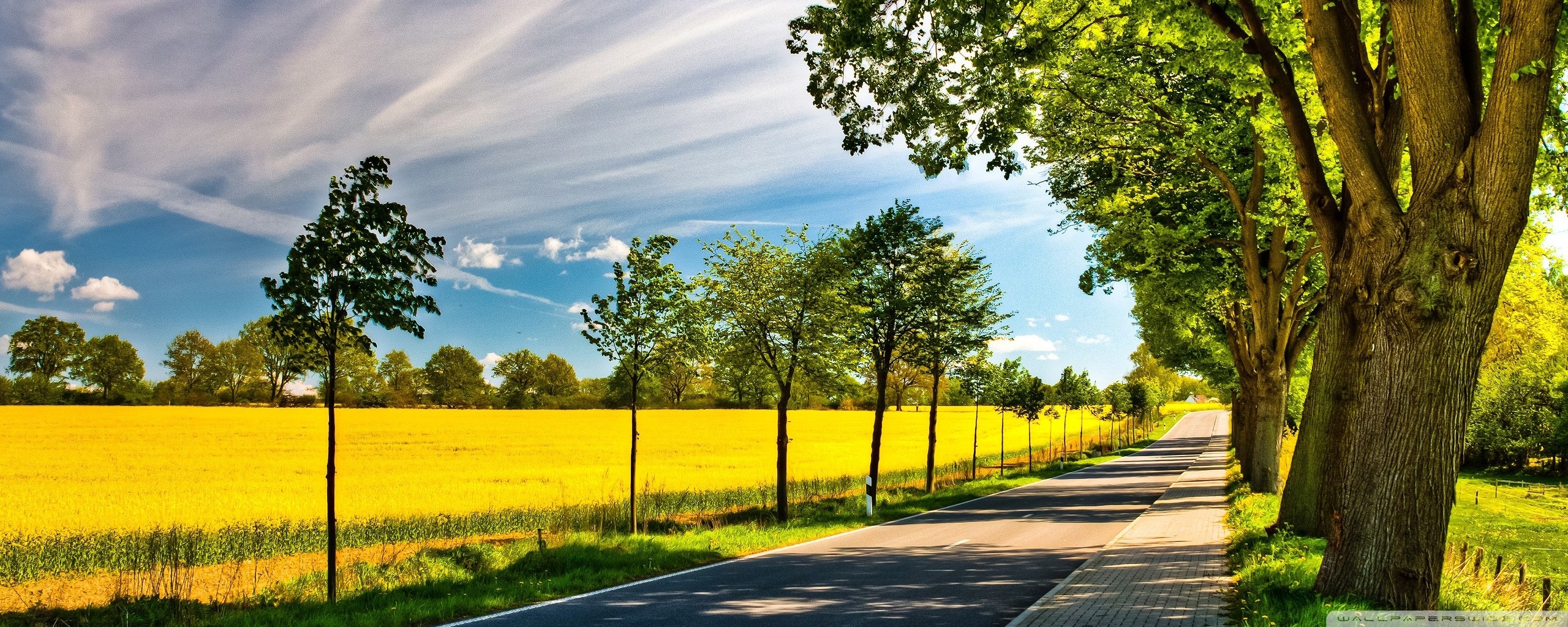 Late Summer Landscape Ultra HD Desktop