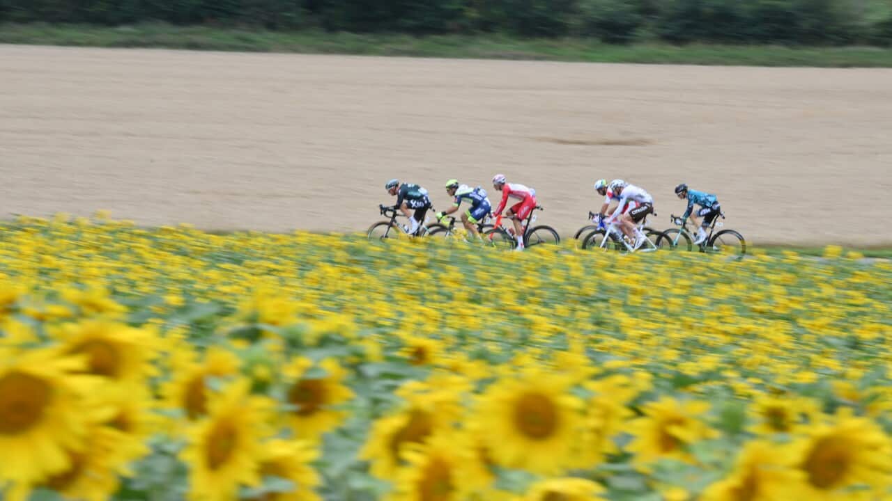 Tour de France 2024