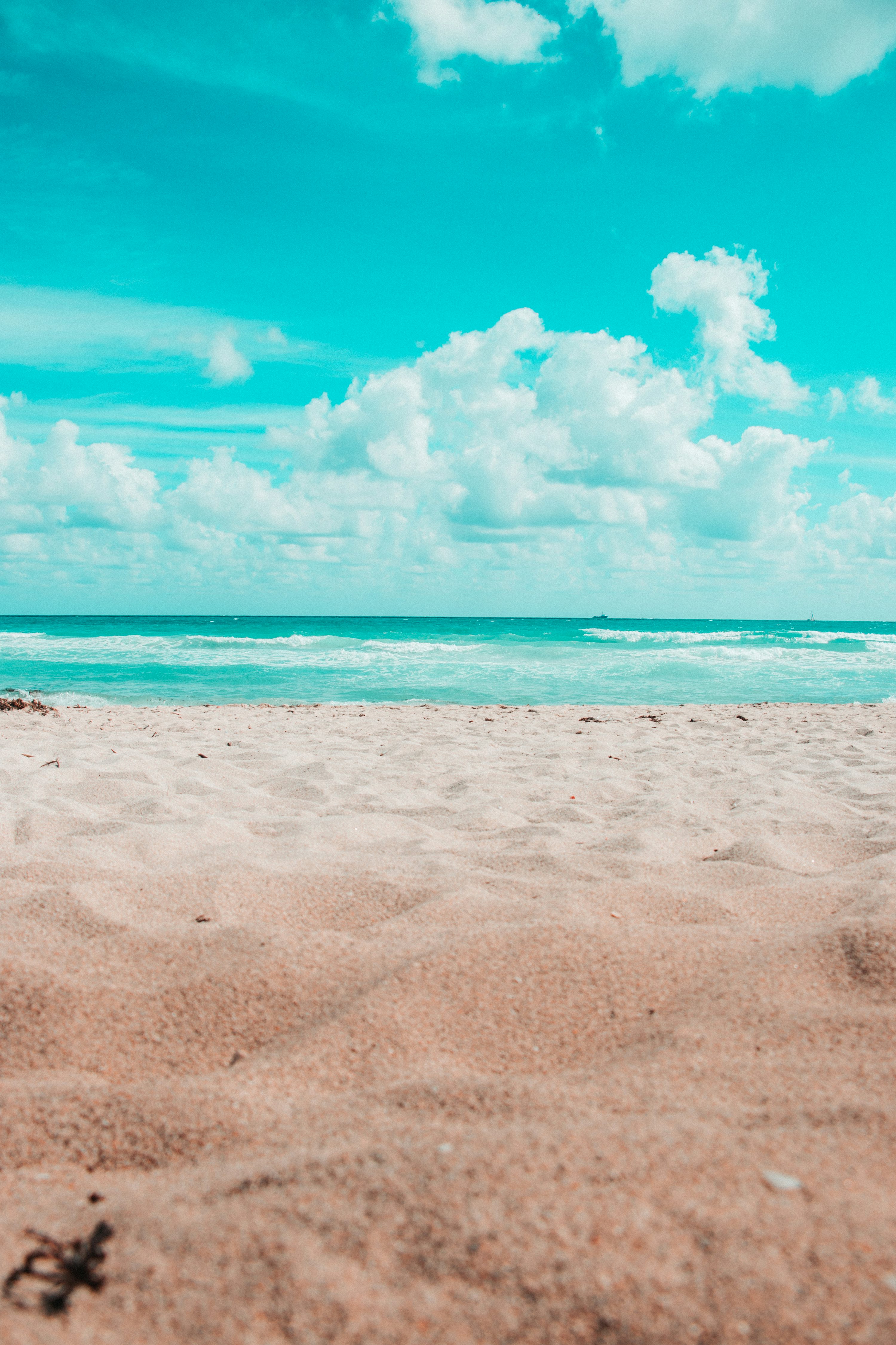 Summer Wallpaper: Free HD Download