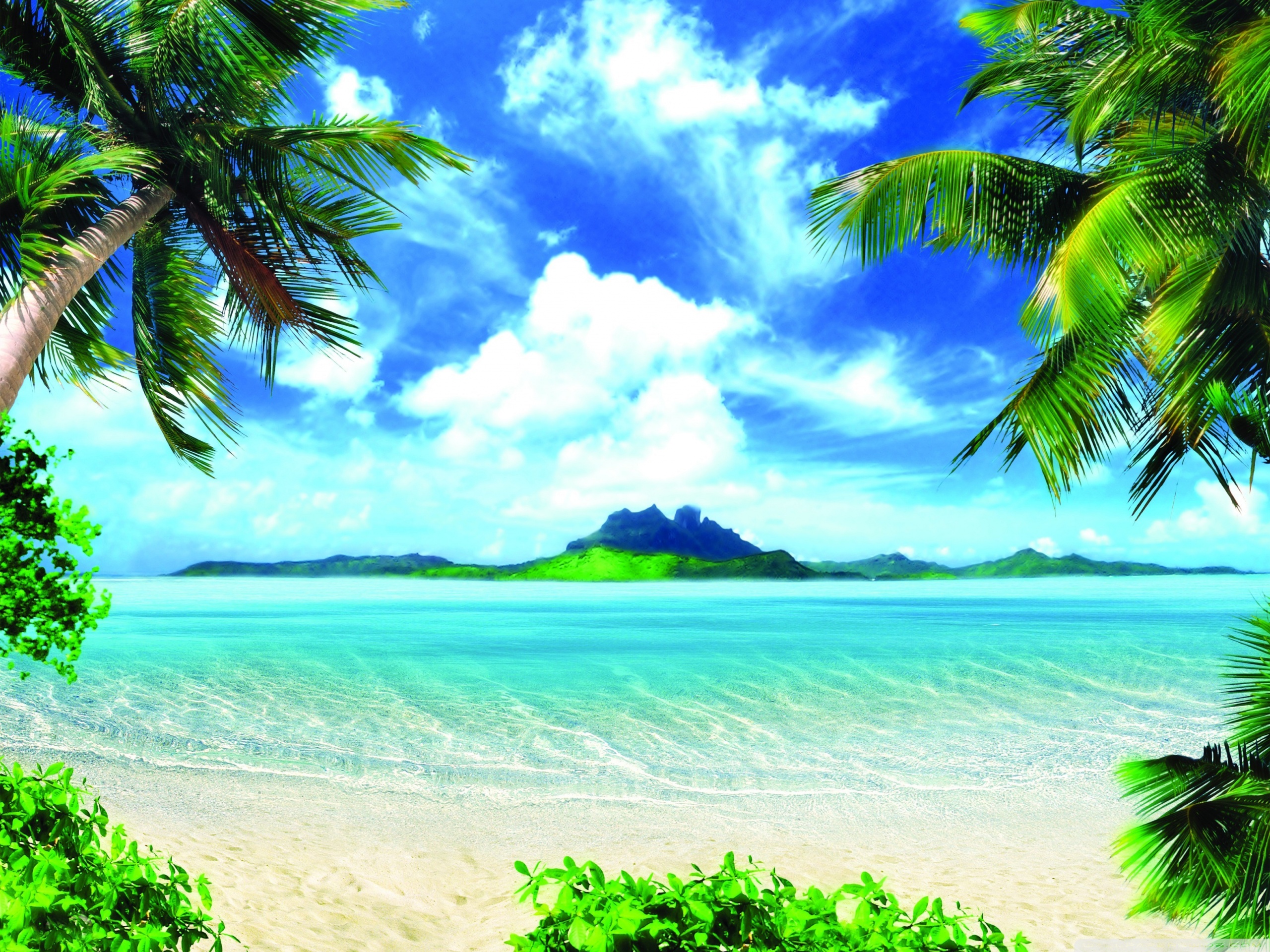 Ultra HD Desktop Background Wallpaper