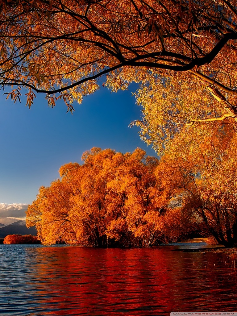 Desktop Background Wallpaper for 4K UHD