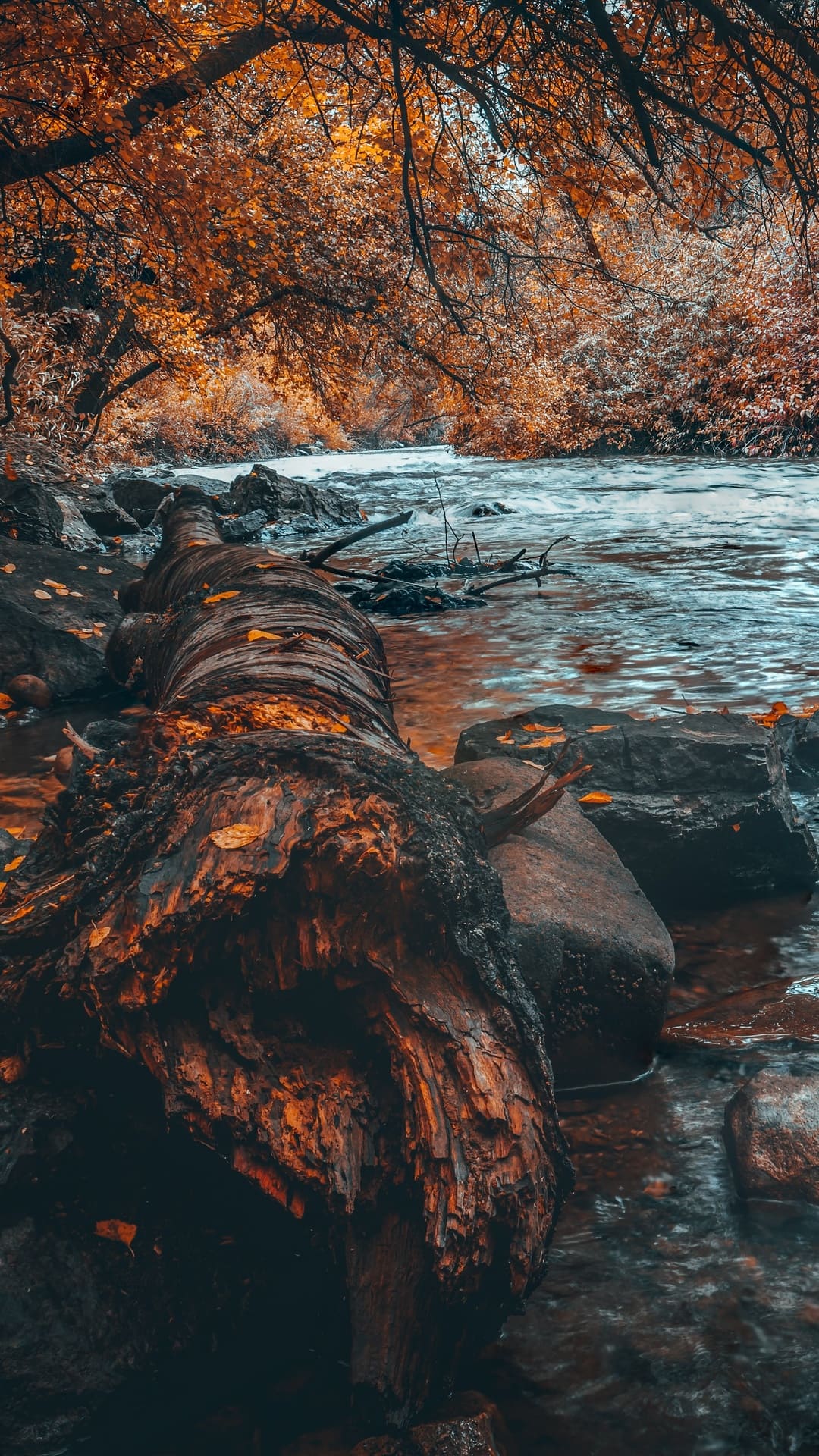 Autumn Wallpaper Autumn