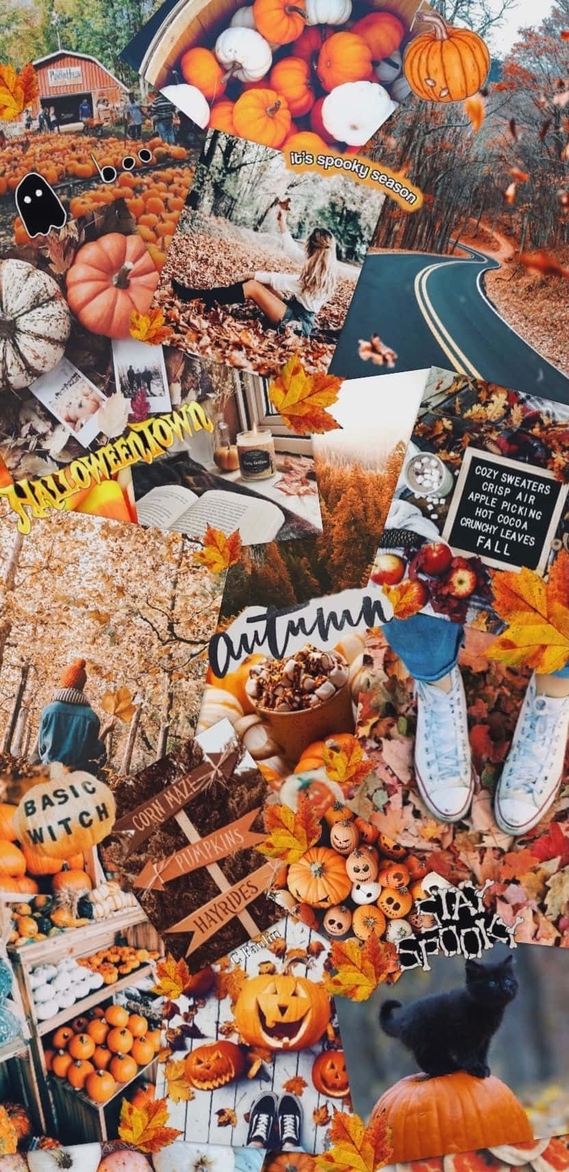 beautiful autumn collage Wallpaper