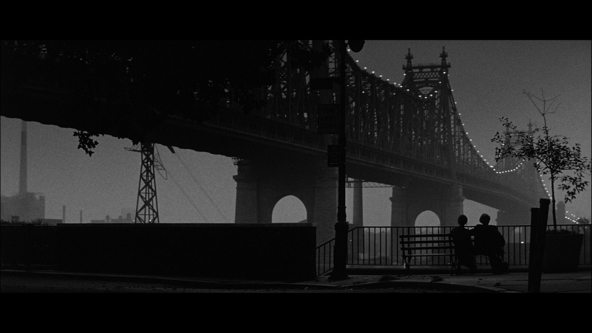 Rhapsody in Beautiful Black and White