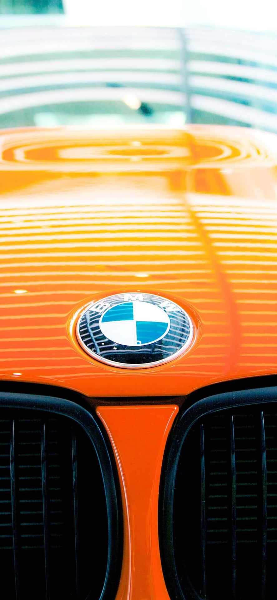 Bmw Logo Wallpaper