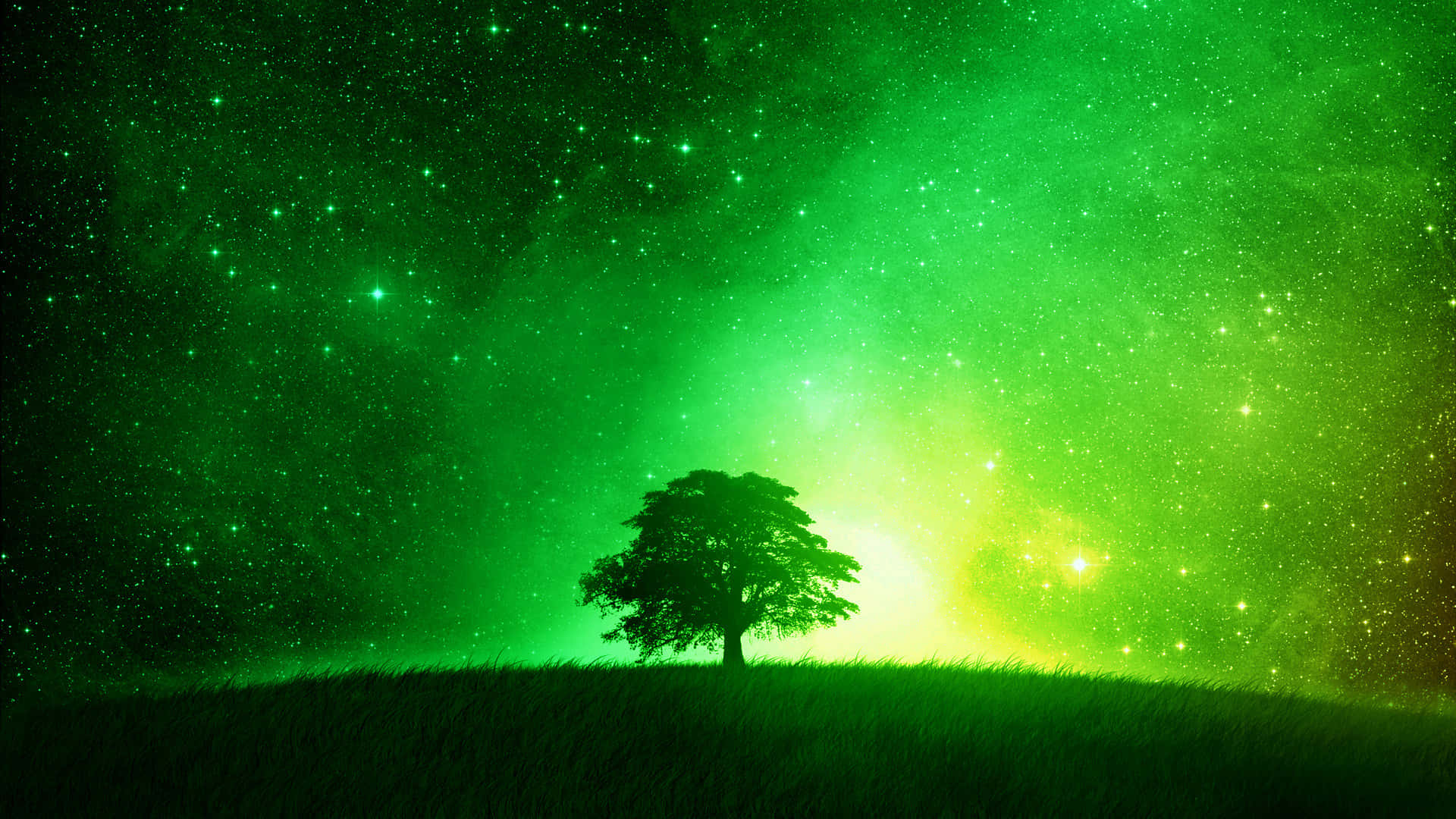 Lime Green Aesthetic Wallpaper