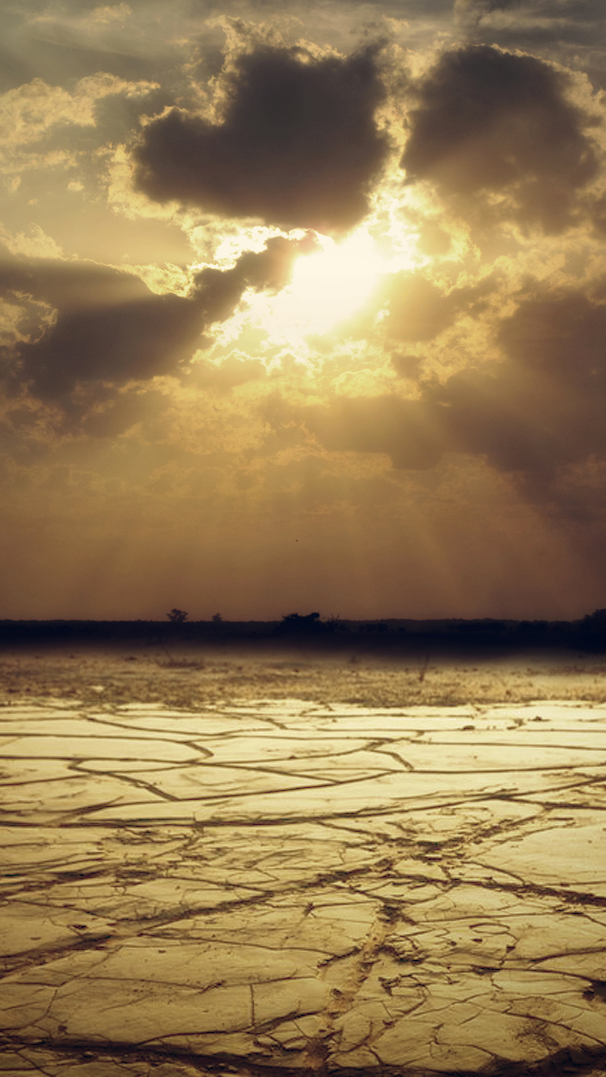 Desert heaven Wallpaper for iPhone 11