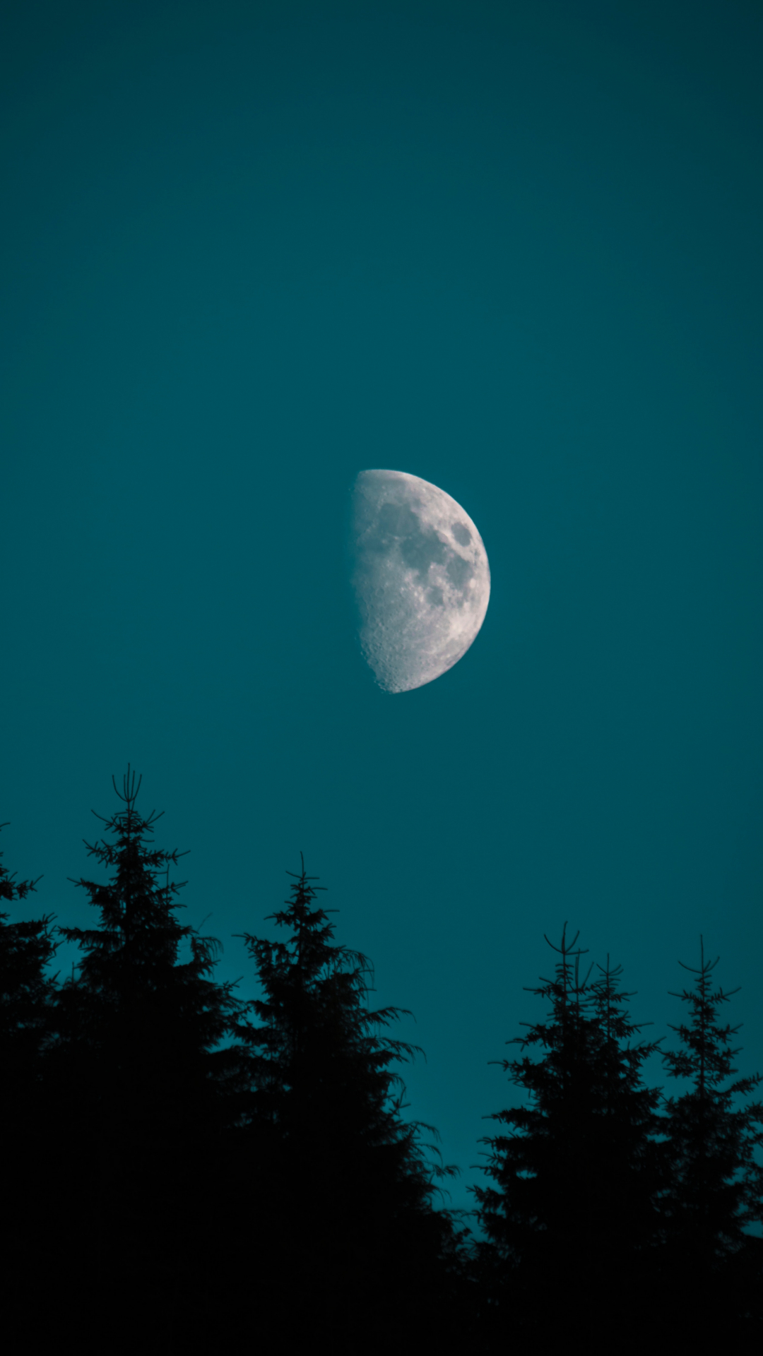 Half Moon Over Pine iPhone Wallpaper
