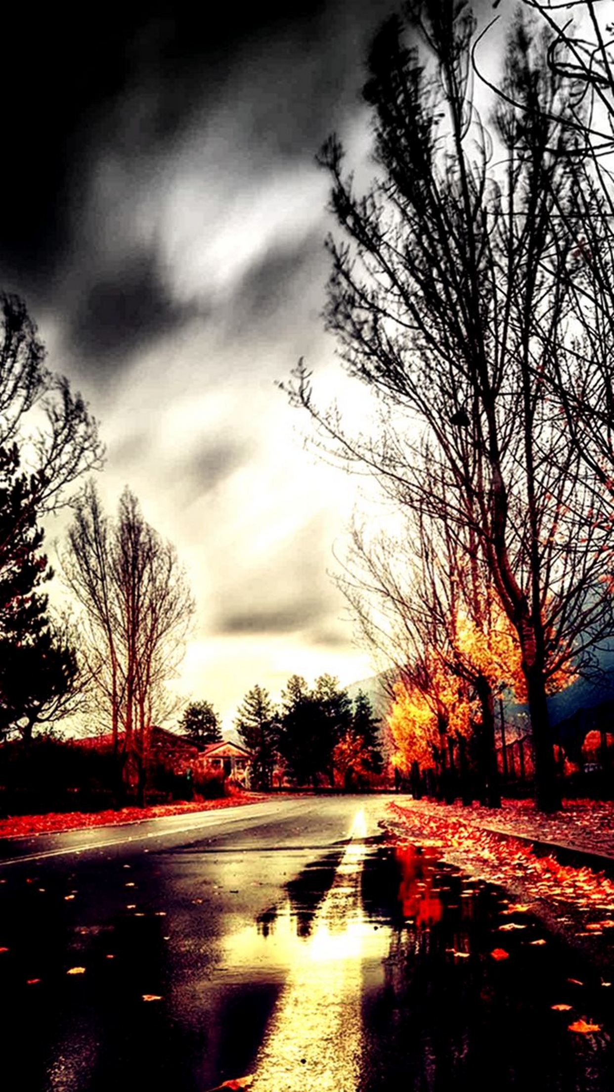 Pretty Beautiful Wallpaper For IPhone