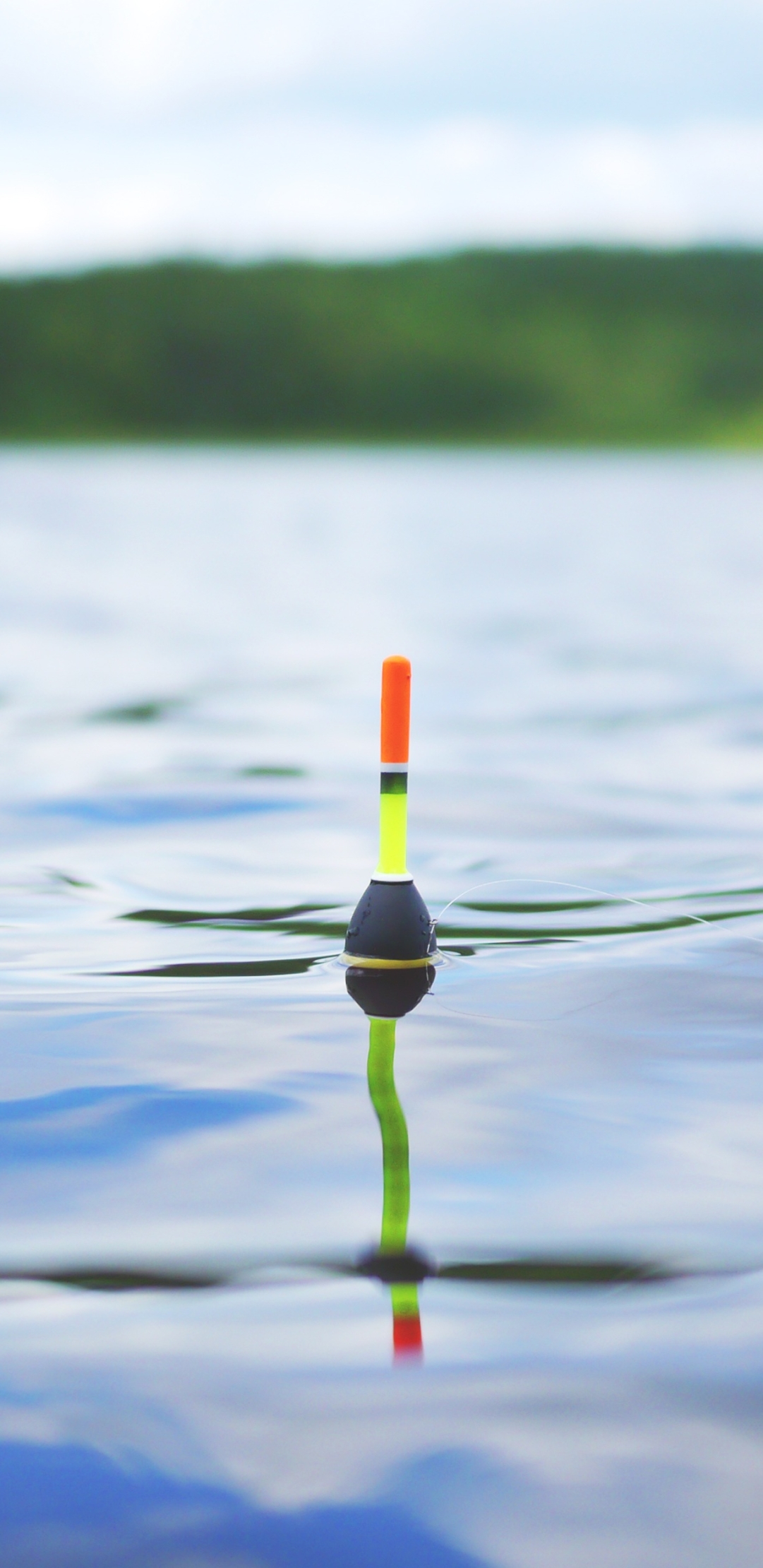 Fishing Phone Wallpaper