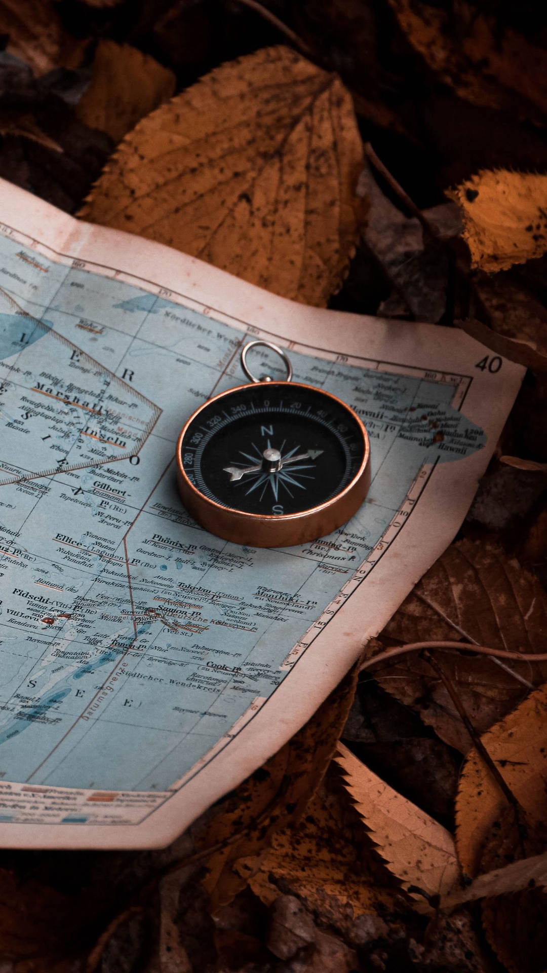 Compass On A Map With Leaves Wallpaper