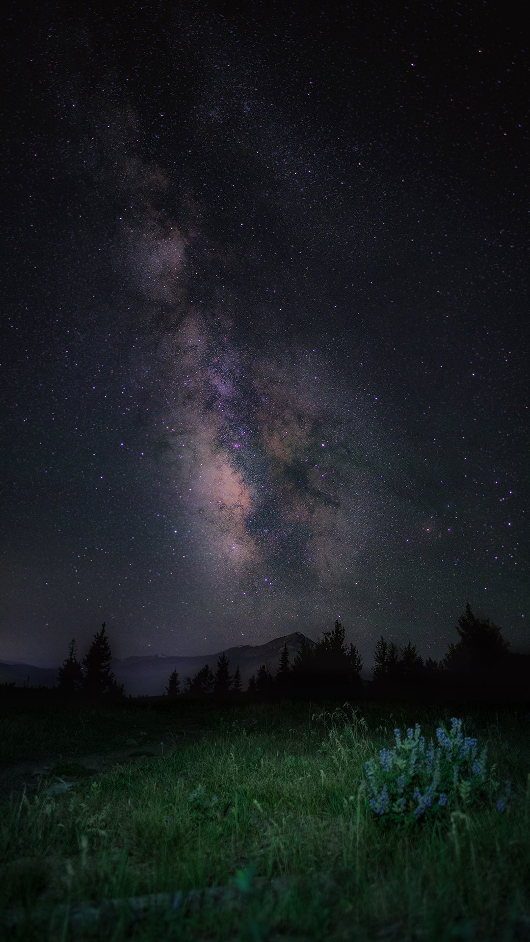 Stars iPhone Wallpaper