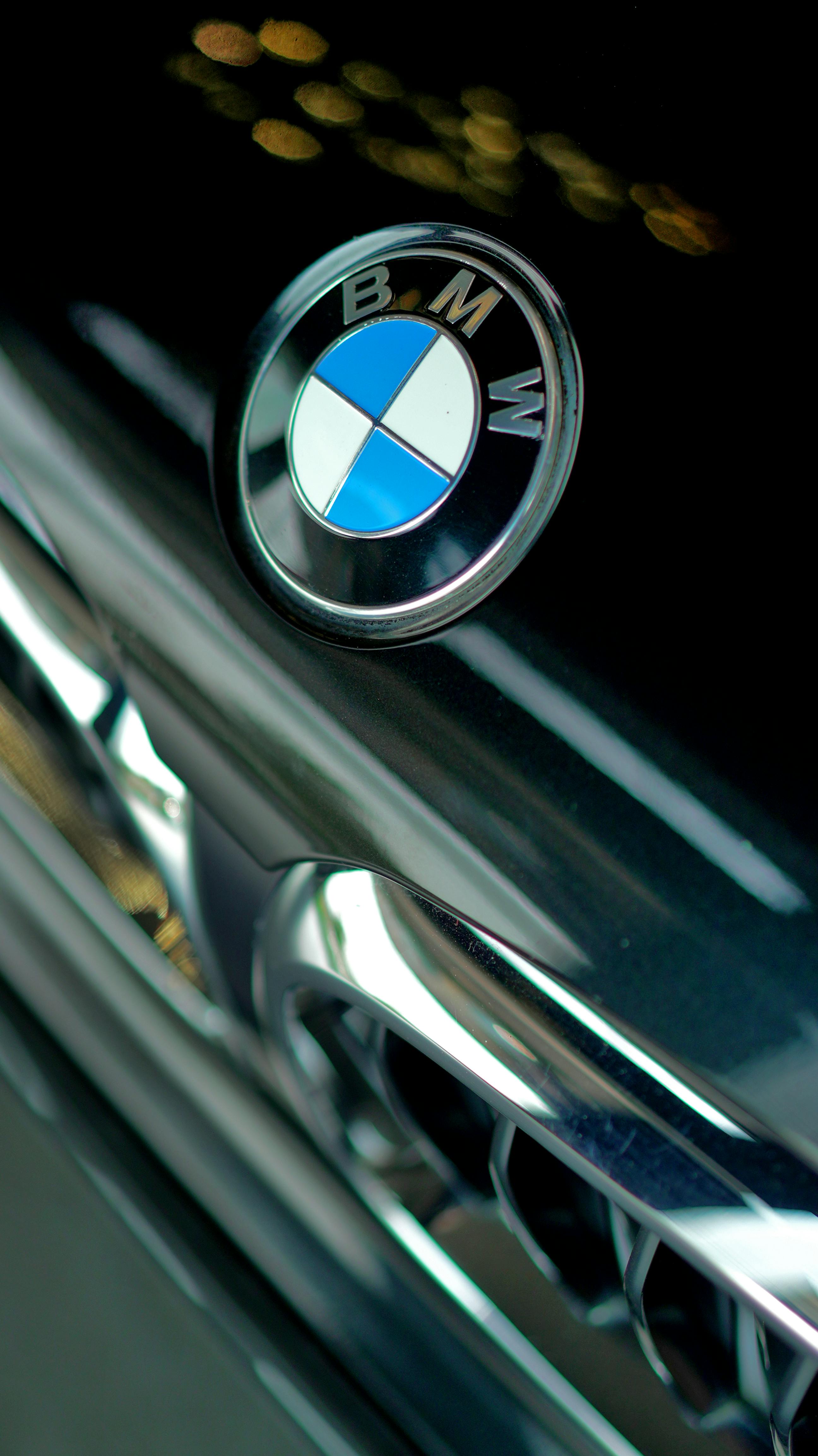 BMW Brand Logo · Free