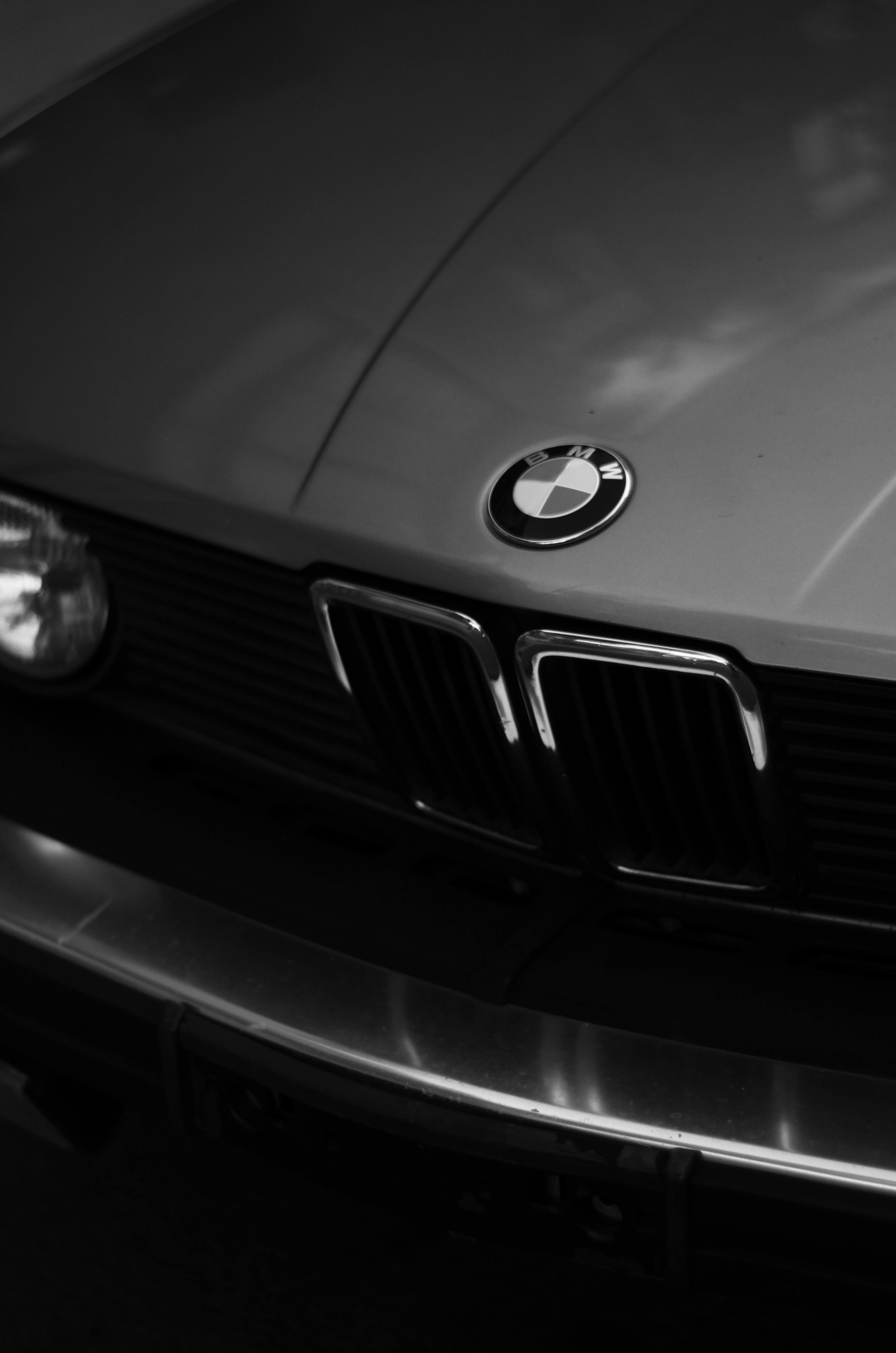 Bmw Logo Photo, Download The BEST Free