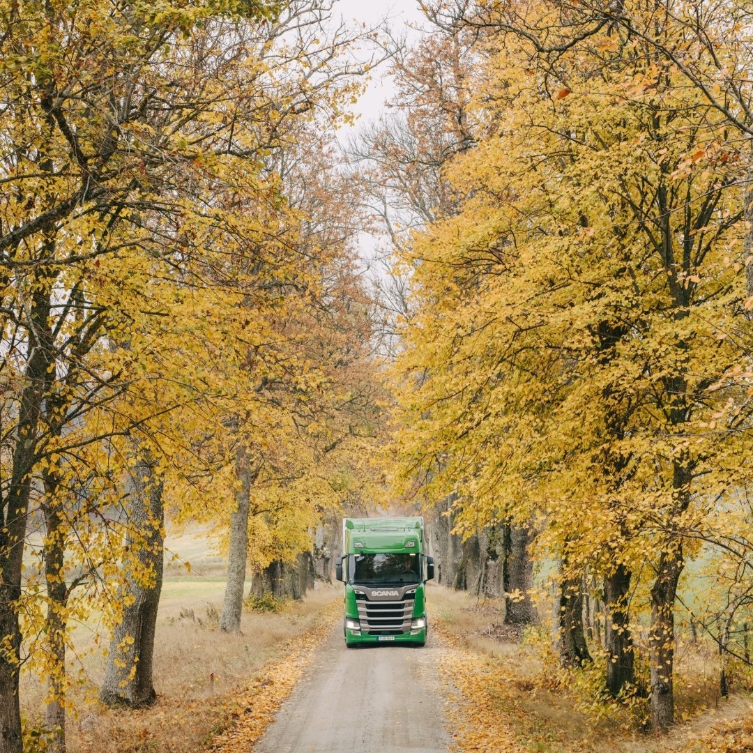 Fall Scania R 450 Vehicle Scania PFP