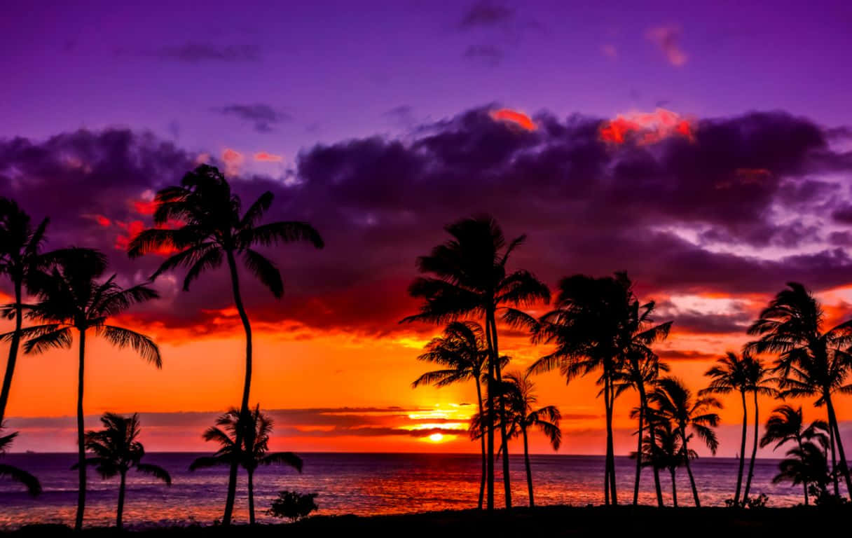 Hawaii Sunset Wallpaper