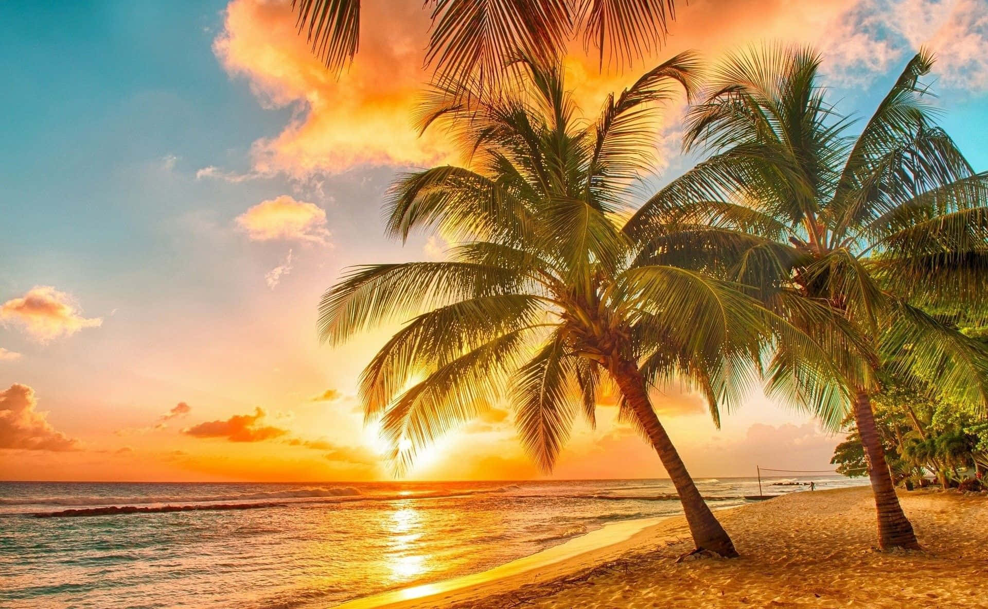 beautiful Hawaiian sunset Wallpaper