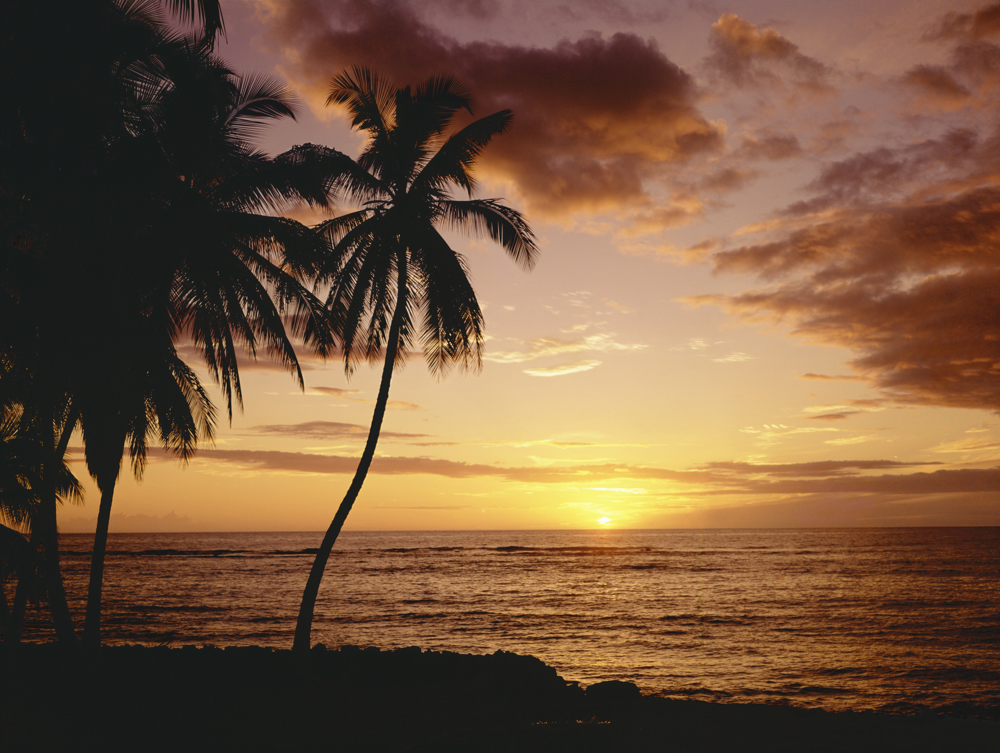 Hawaiian Sunset Mural Wallpaper