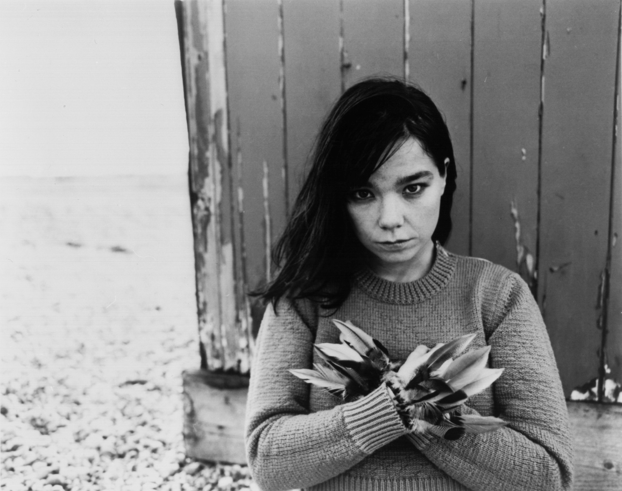 Download Music Björk HD Wallpaper