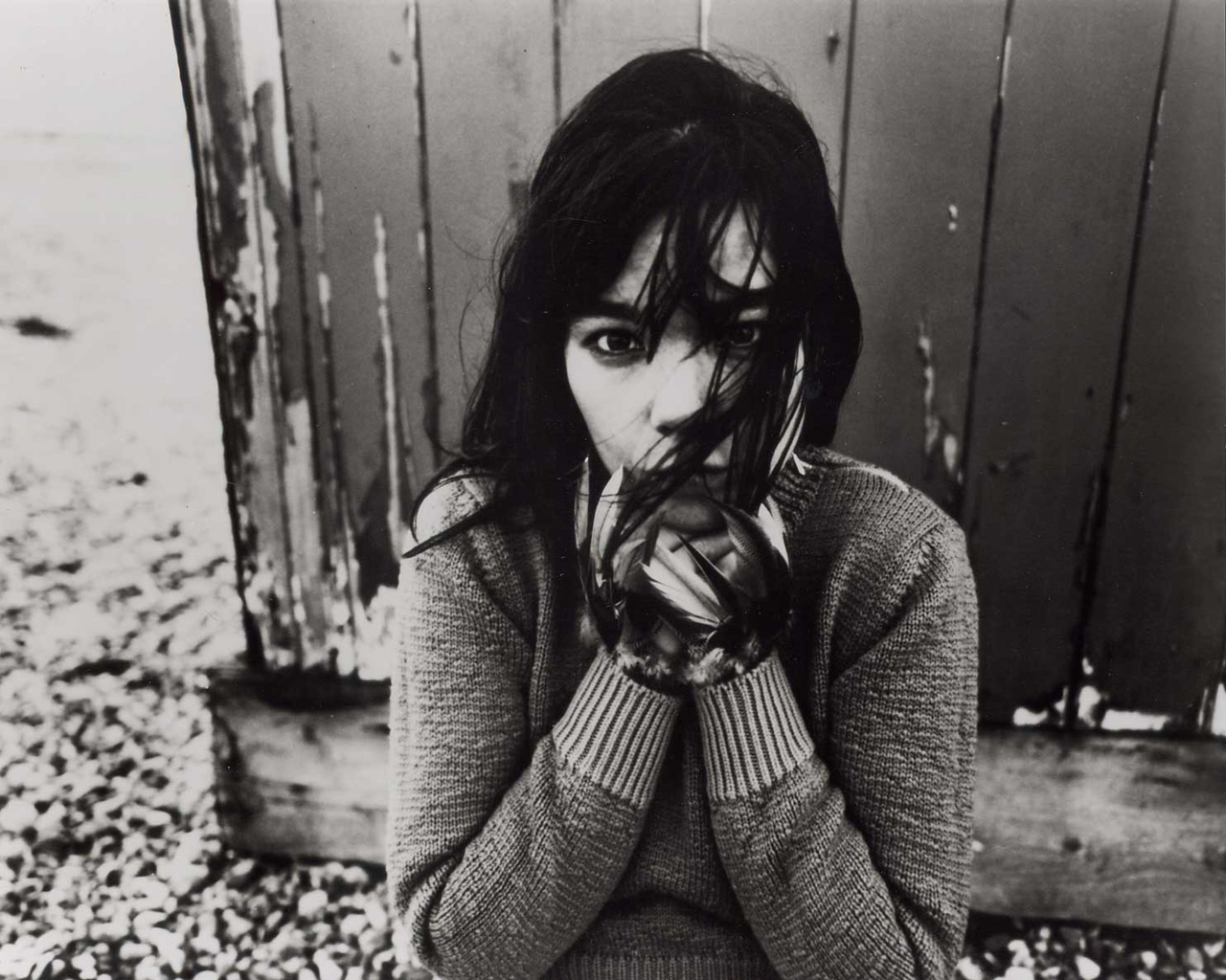 Bjork. WOW & FLUTTER