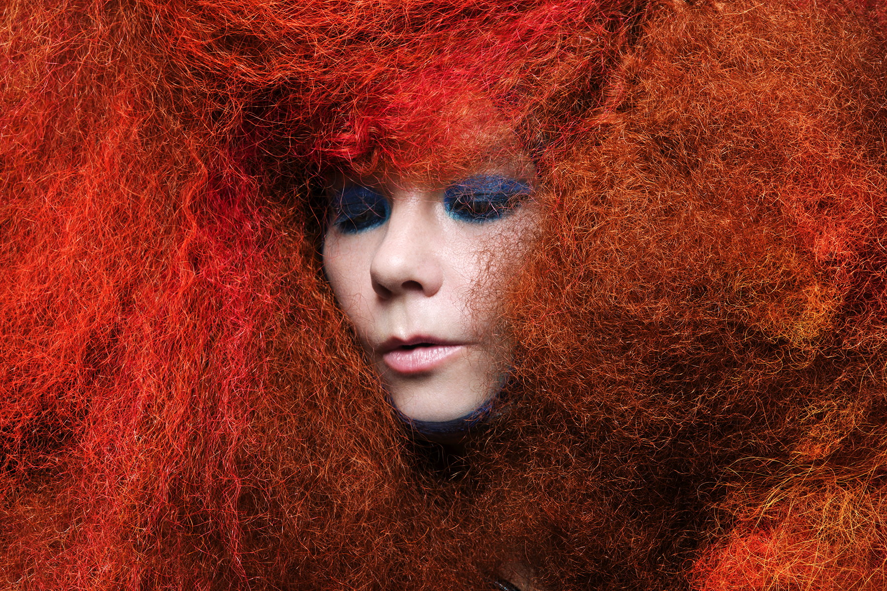 Download Music Björk Wallpaper