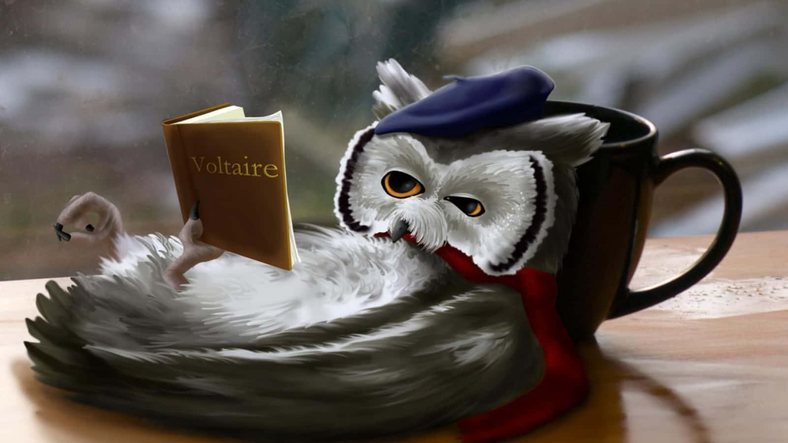 Download Funny Owl Painting Reading